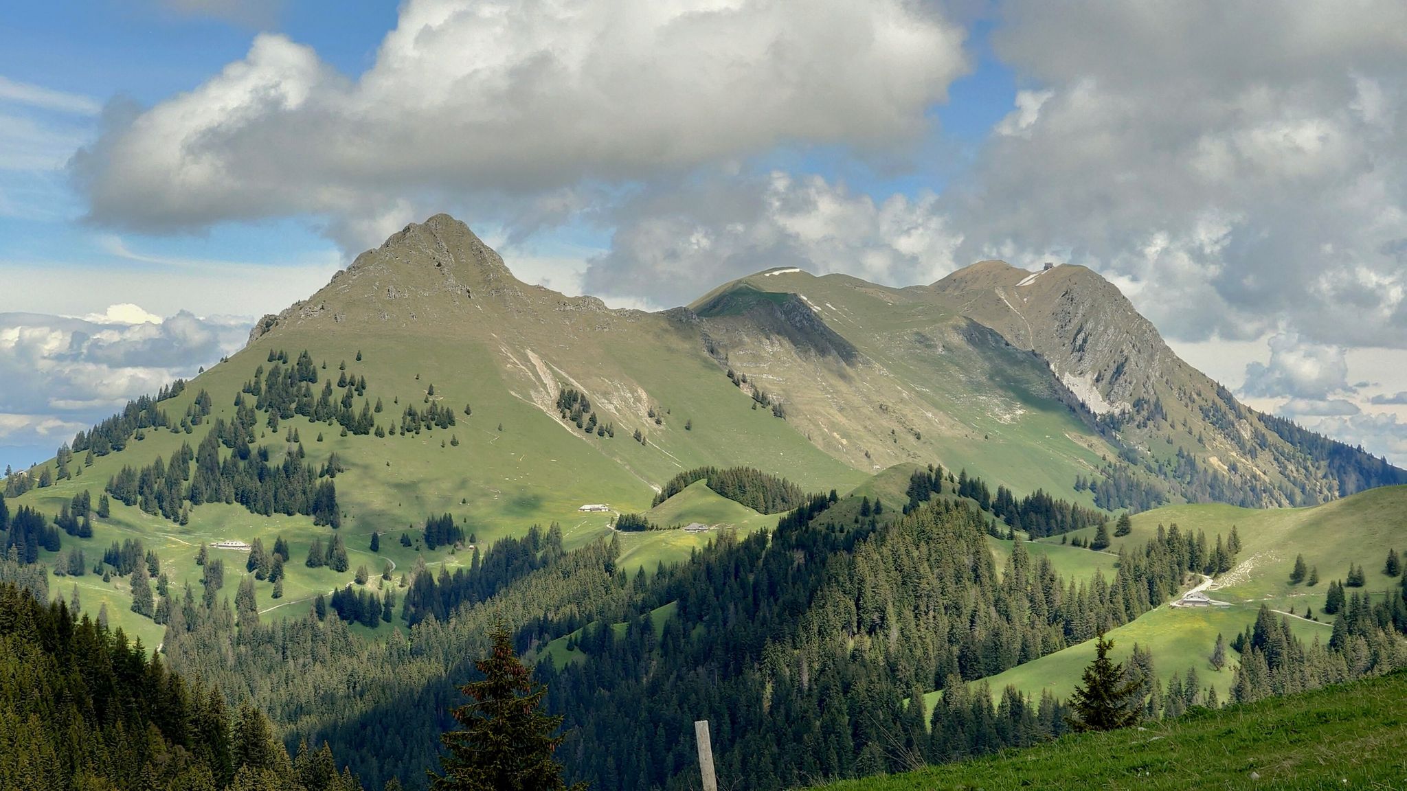 Vom Teysachaux bis Moléson kaum mehr Schnee auf dieser Seite 👌🏼