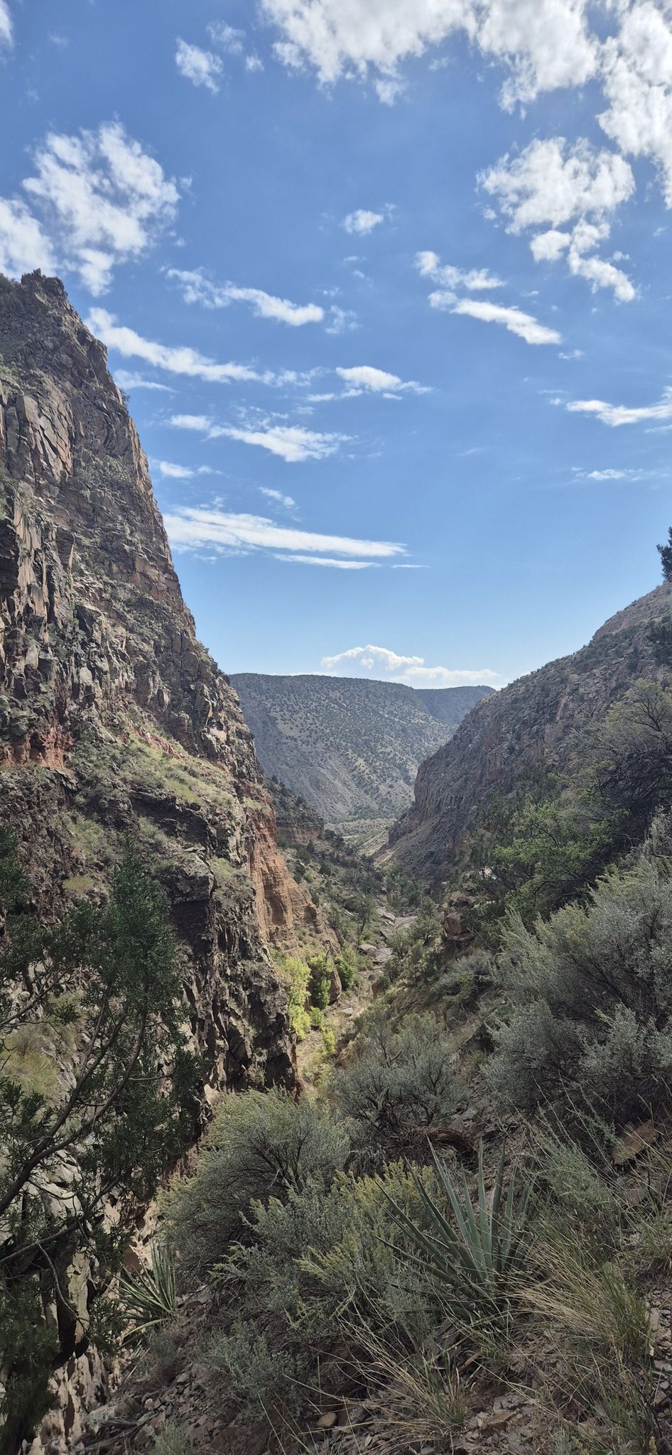 Deep canyon with steep rocky cliffs under a bright blue sky. - Falls Trail