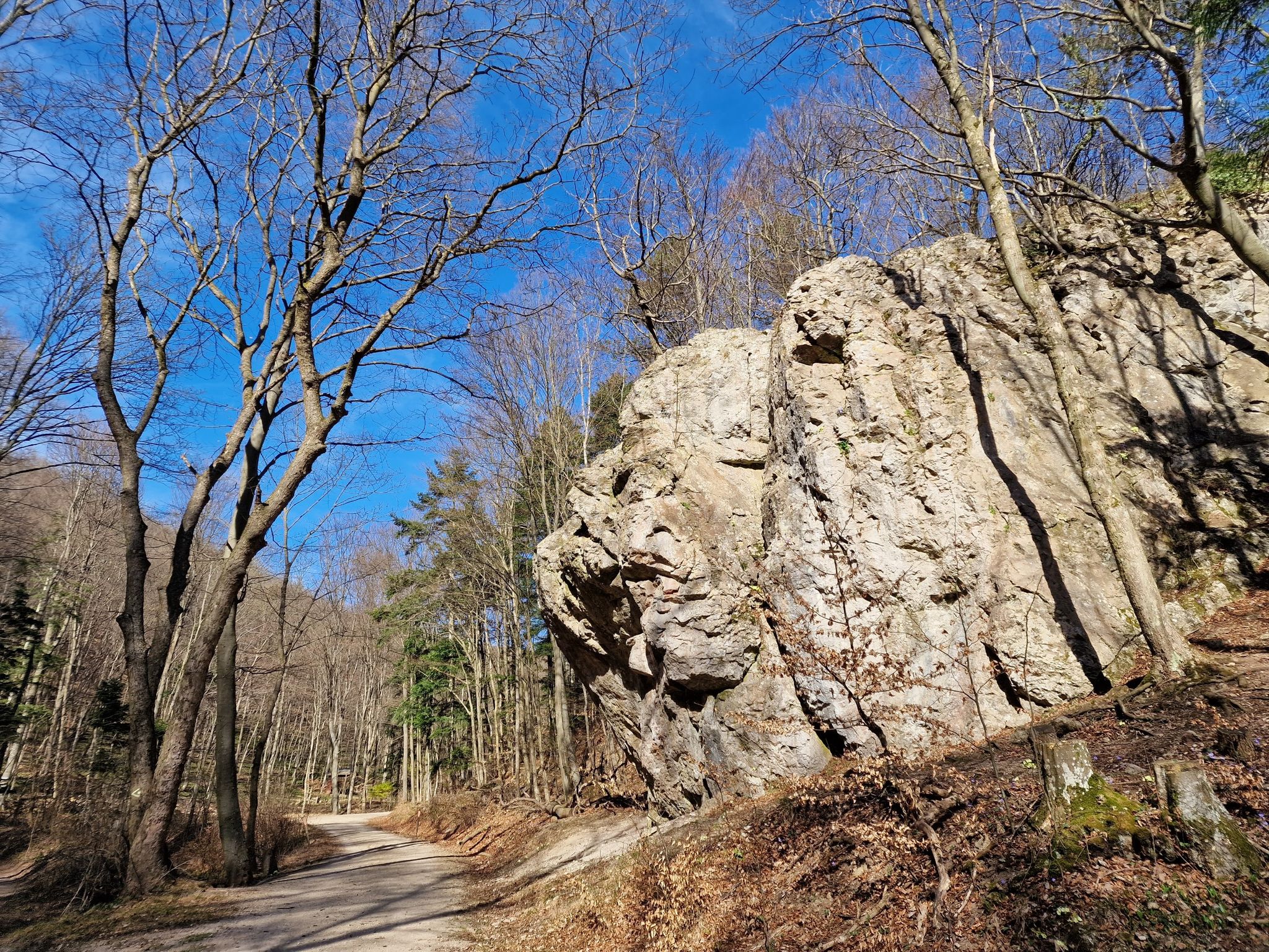Der Wassersprengfelsen beim Schneerosenbrunnen