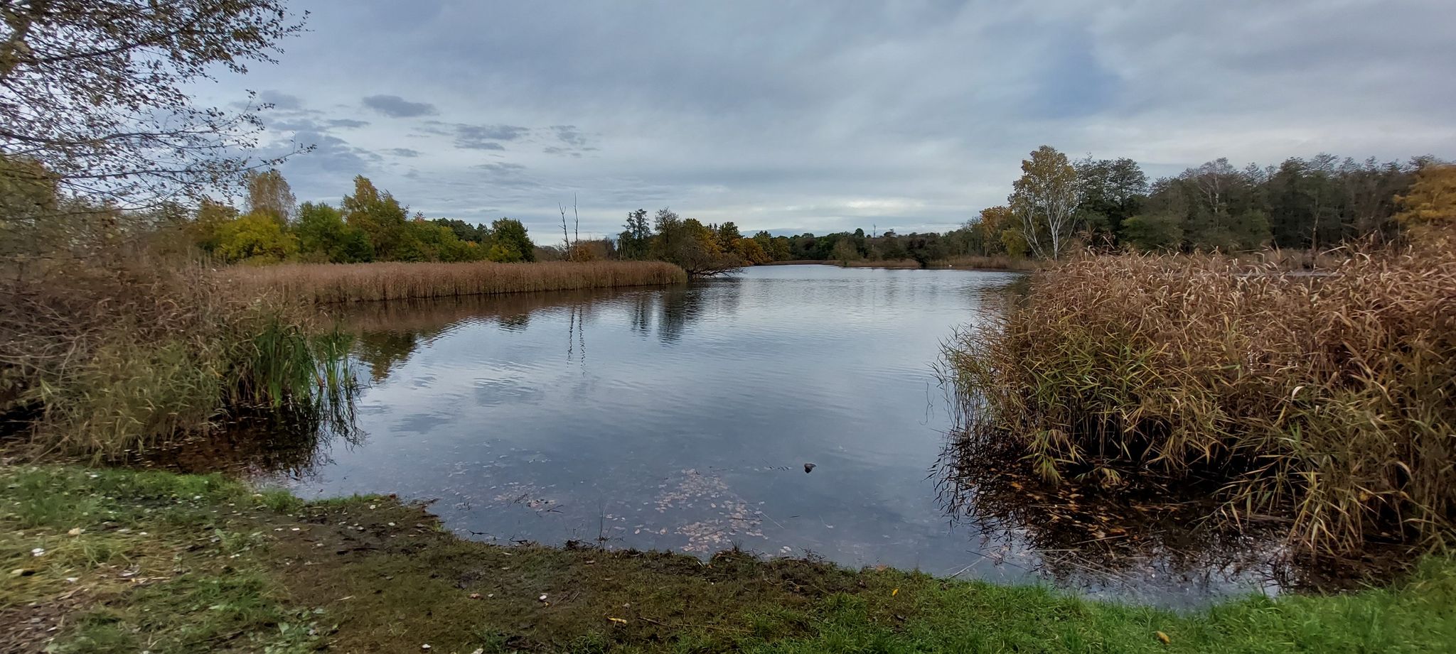 Köppchensee, ein alter Torfstich