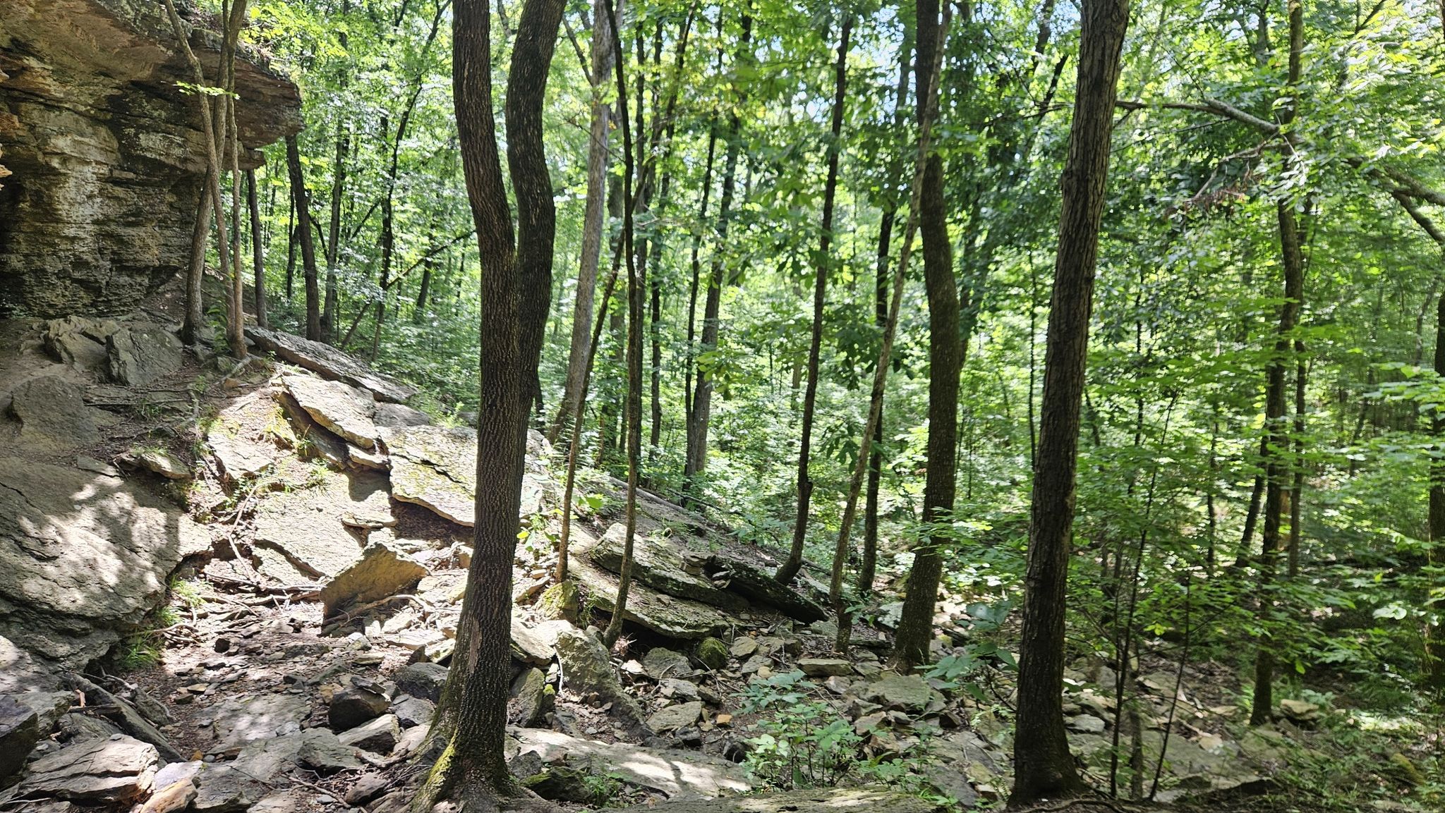 Sunlit forest with large rock formations and dense green trees. - Moonshiners Cave Trail
