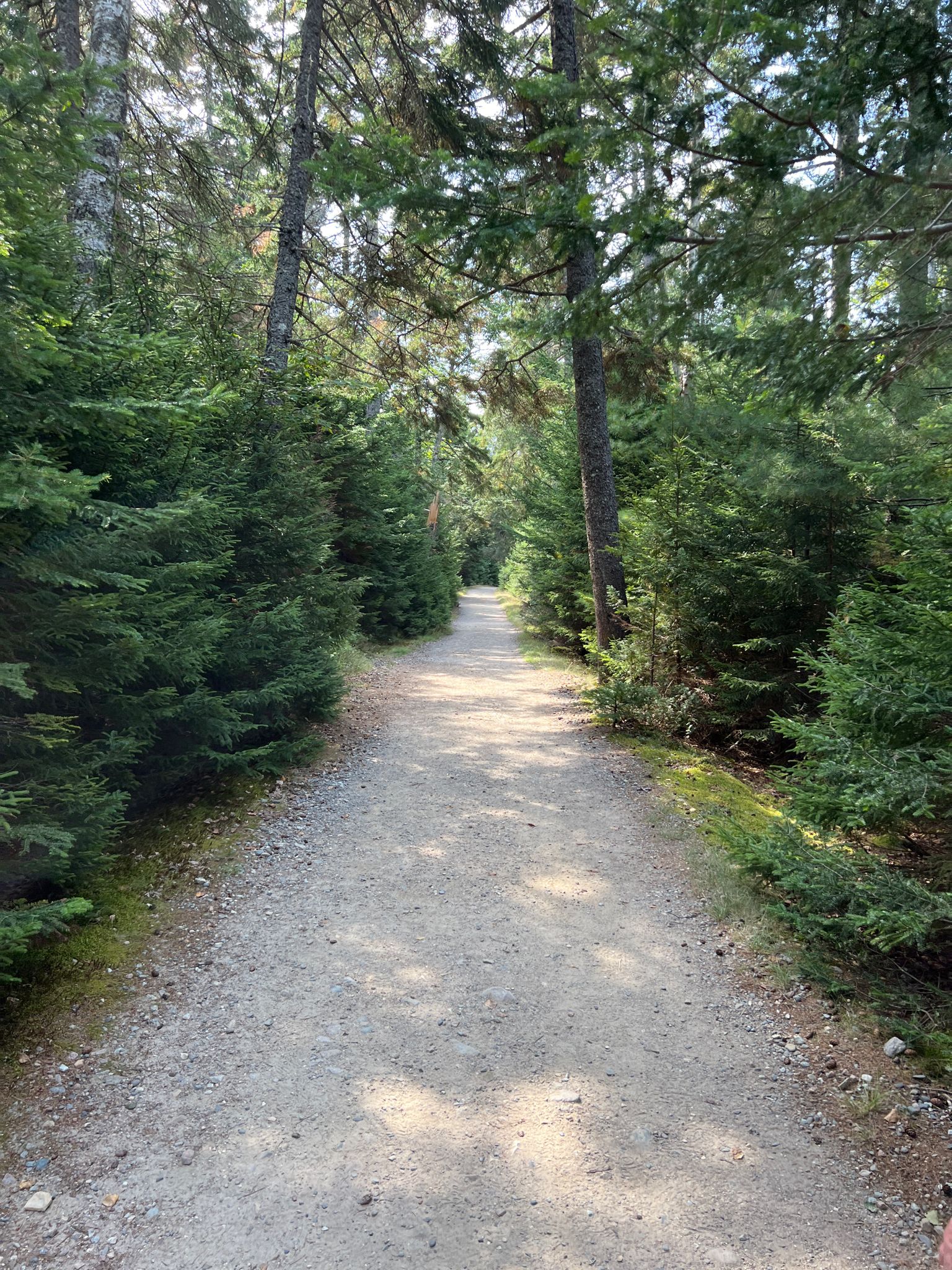 The long section back from the beach to the car park is very easy.