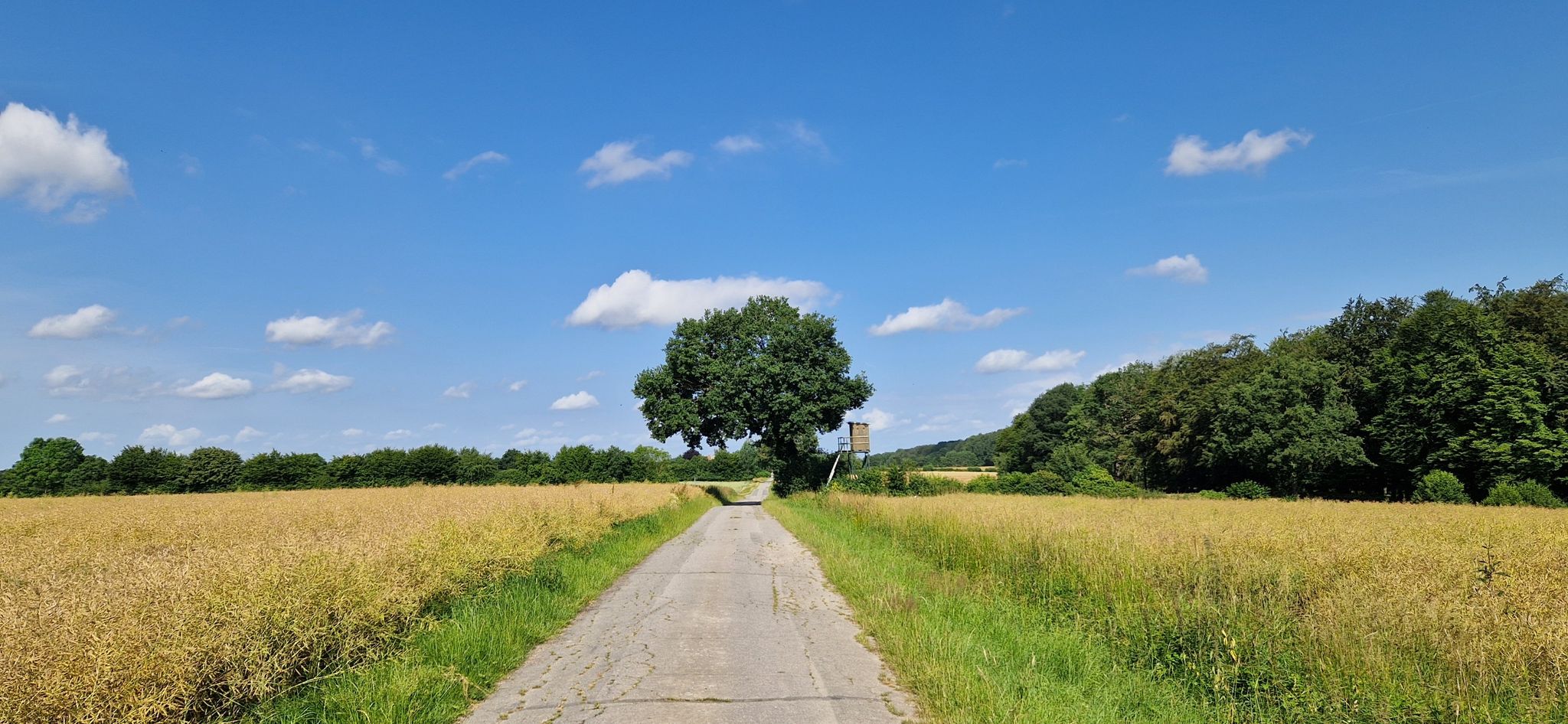 Altenweide - Bahrenhof