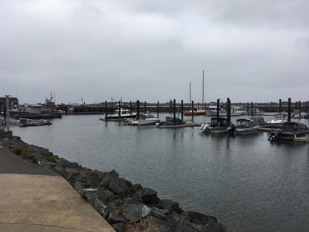 Overcast view of a marina filled with boats, surrounded by a rocky shore. - South Slough Inlet – Tony's Crab Shack loop from Seven Devils State Park