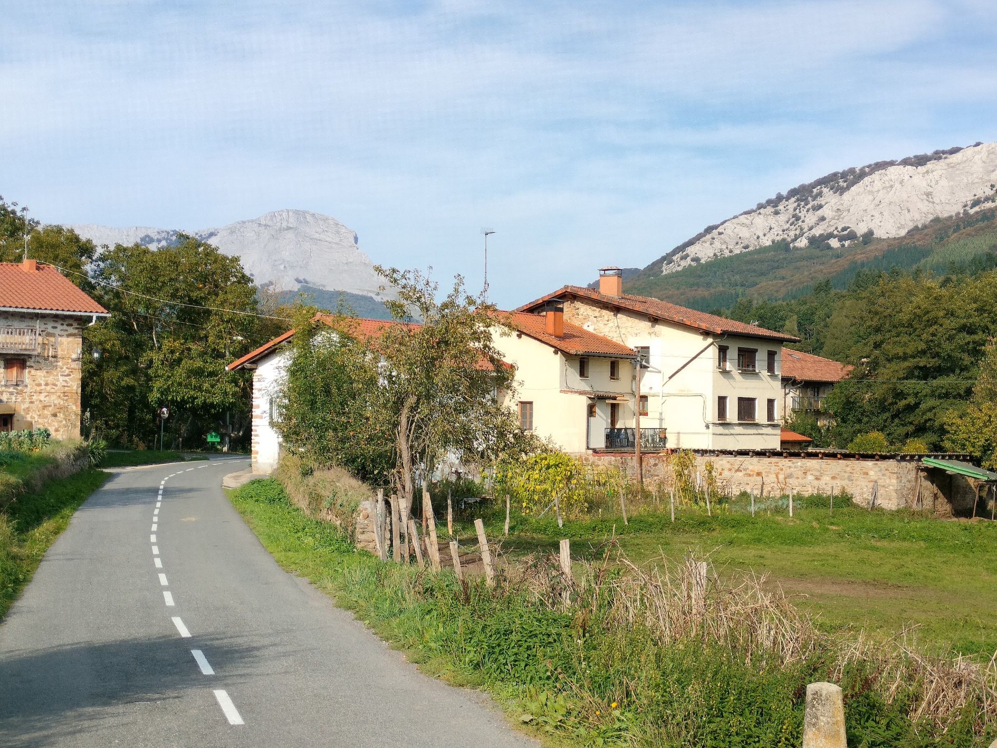 Oleta