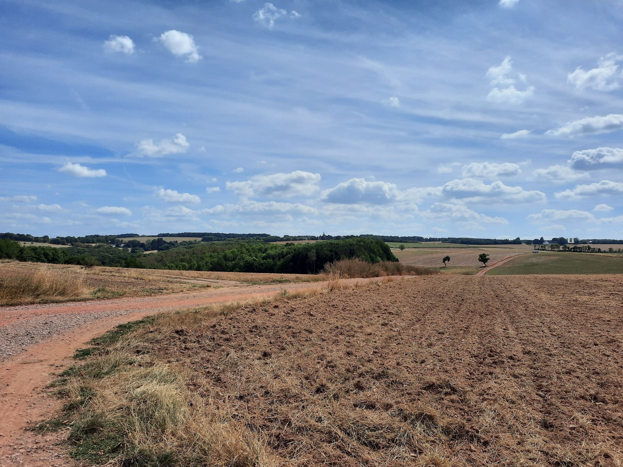 2,5 km und 215 HM später ist die 1. Anhöhe geschafft
