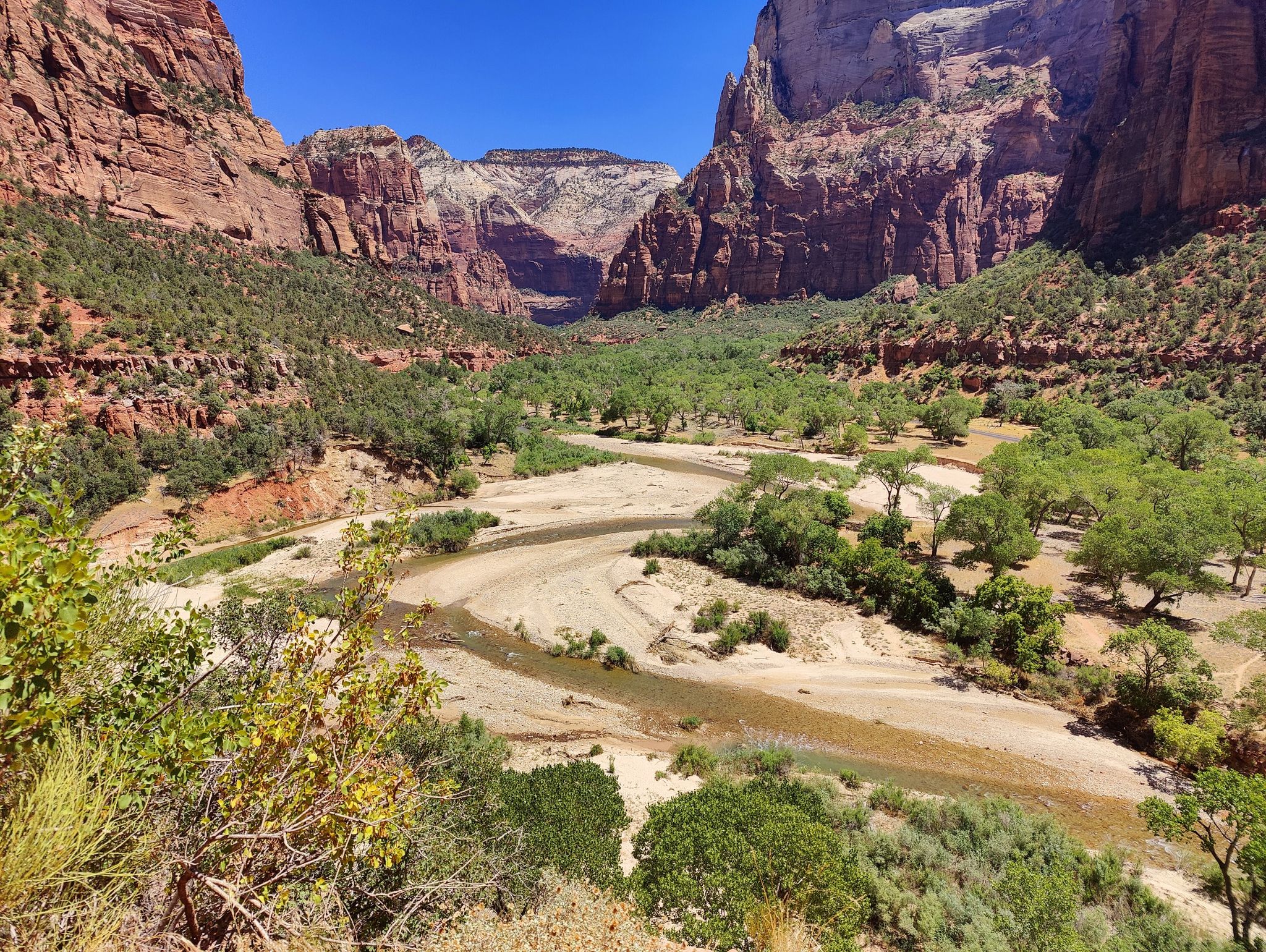 Wide canyon with a dry riverbed, green trees, and towering red cliffs. - Emerald Falls – Middle Emerald Pool loop from Zion Lodge