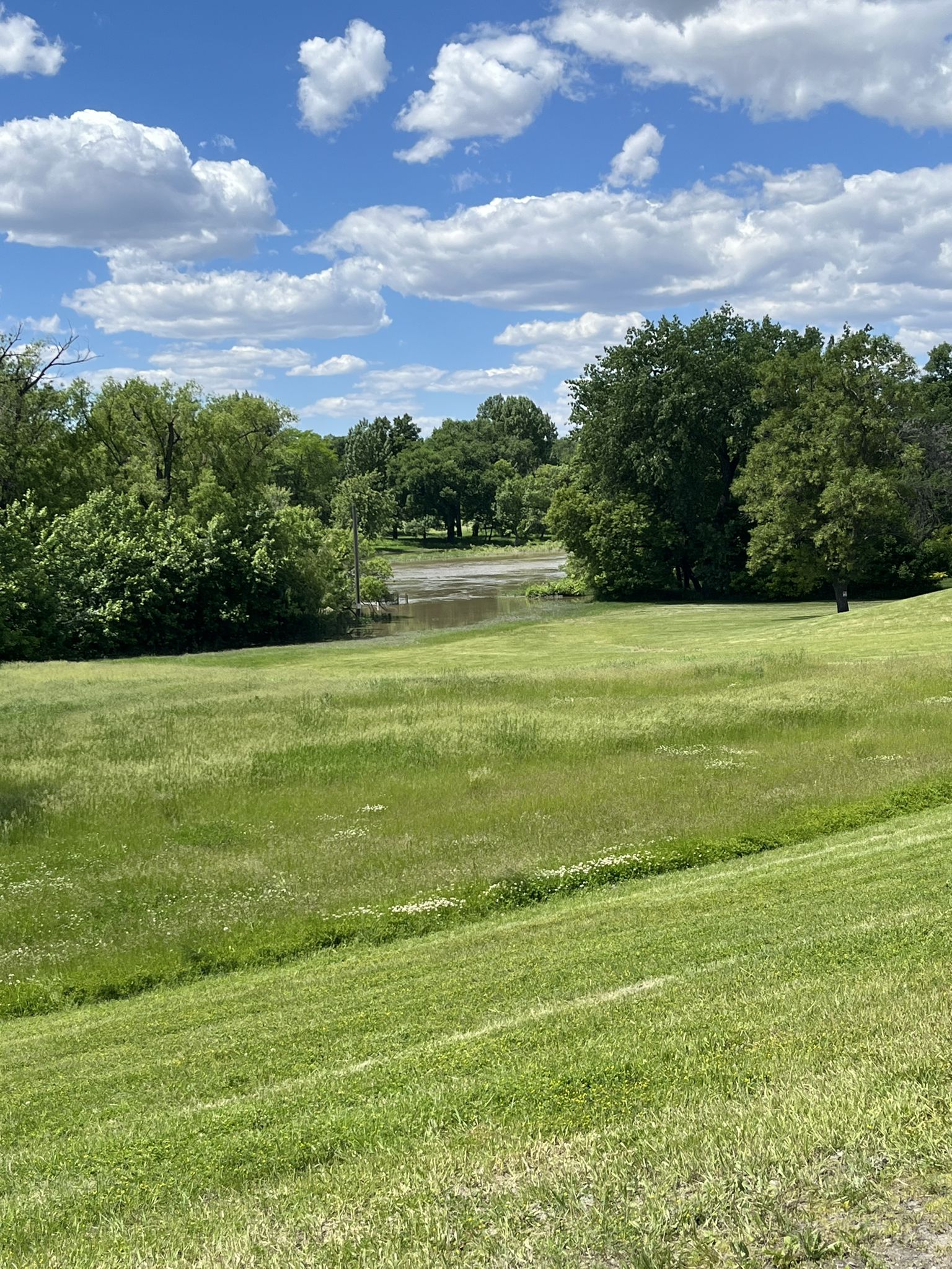 Expansive green field sloping towards a distant body of water and trees. - Blue Goose Trail – Red River of the North loop from Fargo