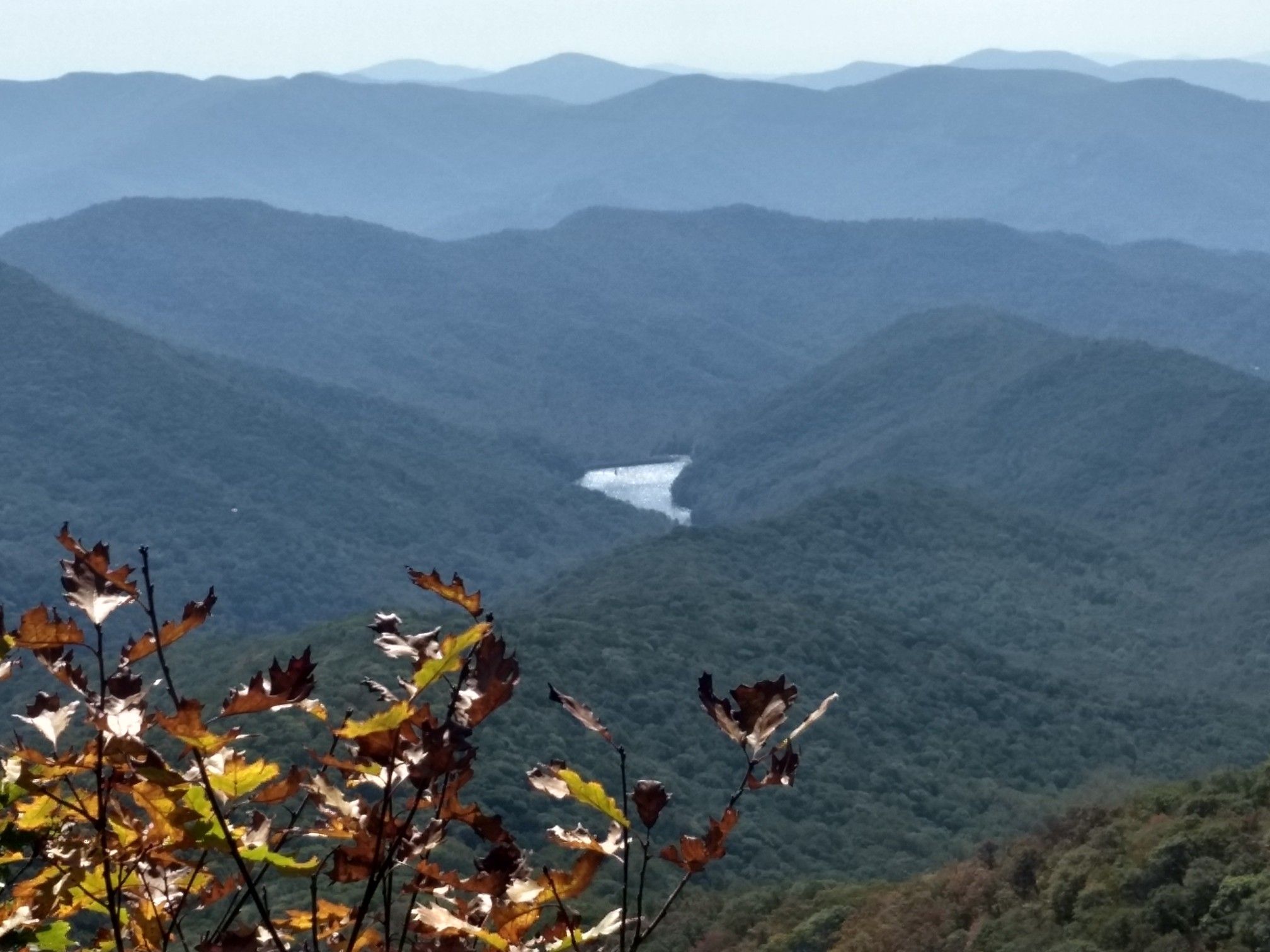 Hazy mountain range with a winding river, autumn leaves in foreground. - Lane Pinnacle via Mountains to Sea Trail