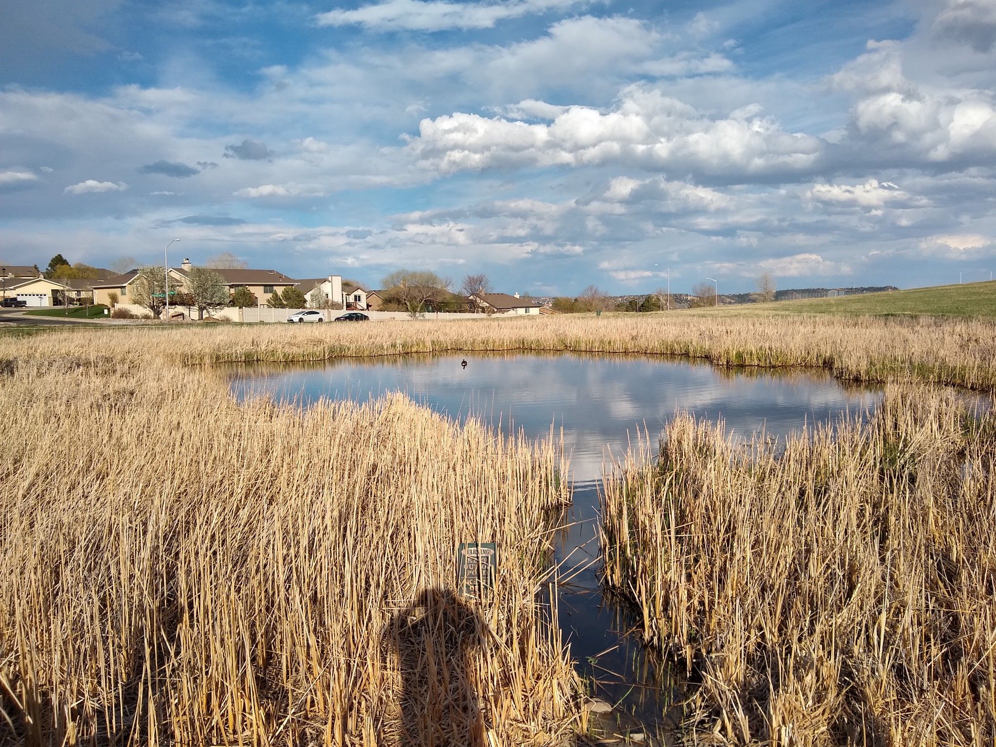 Pond surrounded by tall dry grass with houses in the background. - BeaUTEiful Loop