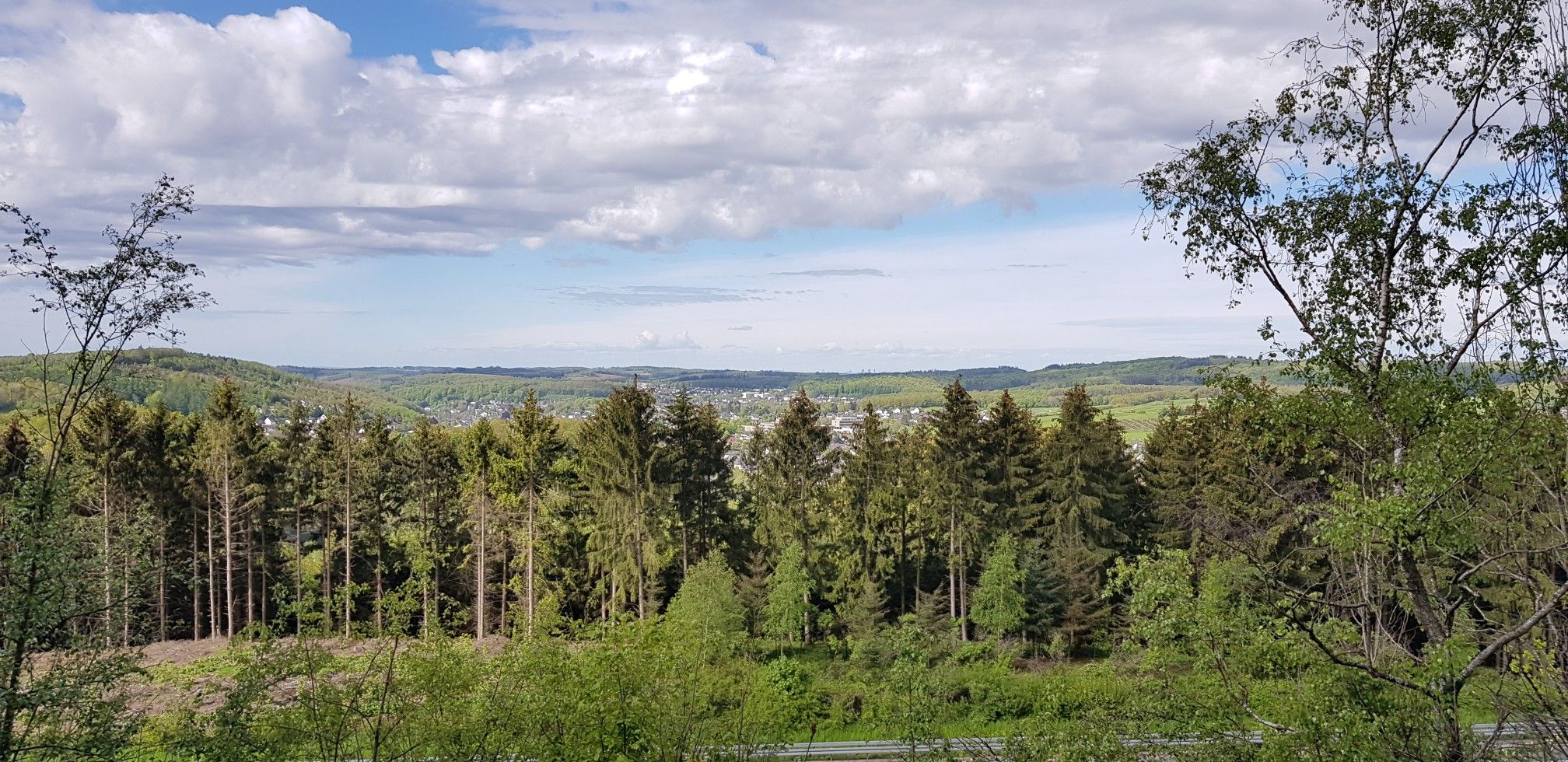 Blick auf Freudenberg