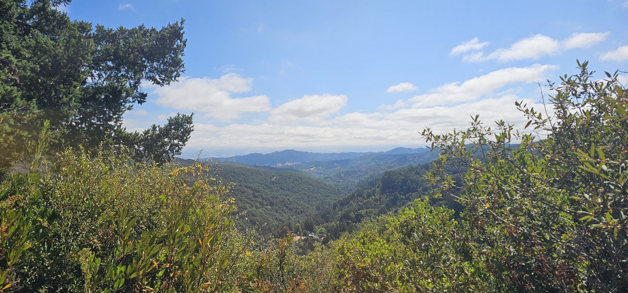 Sunny panoramic view of a lush green valley and distant mountains under a blue sky. - Alec Canyon Trail
