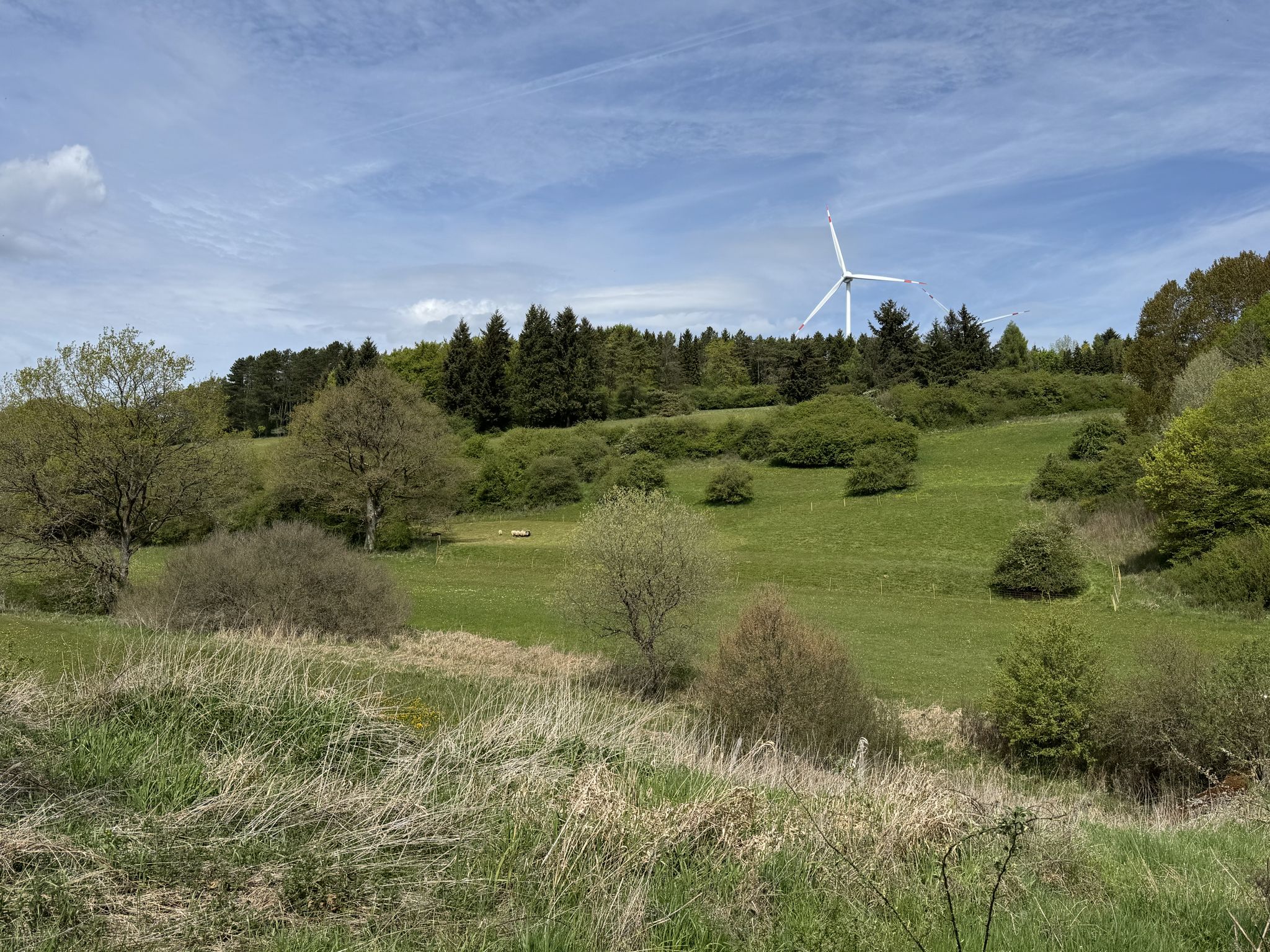 Blick ins Weilerbachtal