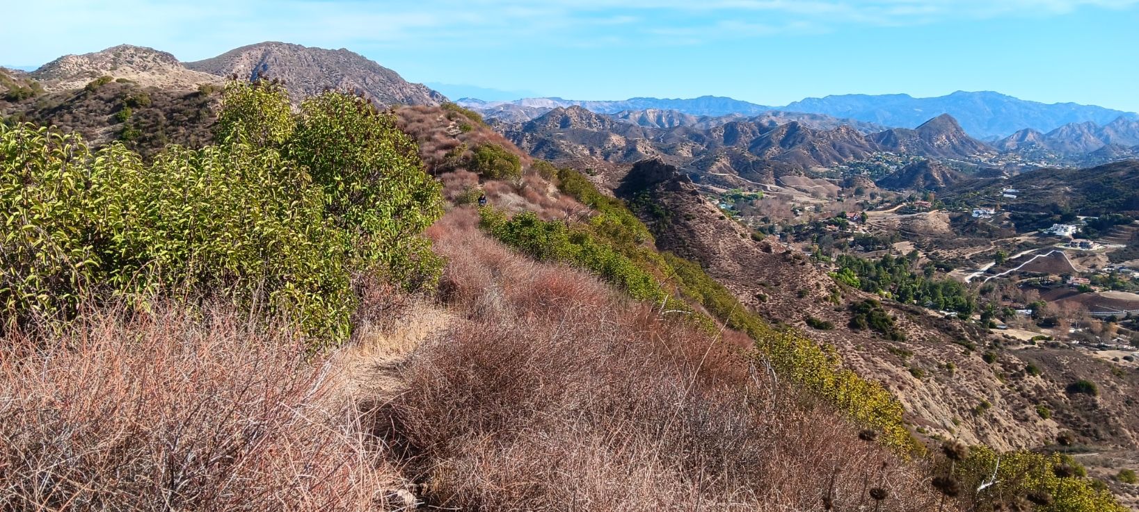Mountain ridge with dry brush, green trees, and distant mountains under blue sky. - Pentachaeta and Westlake Vista Trail Loop