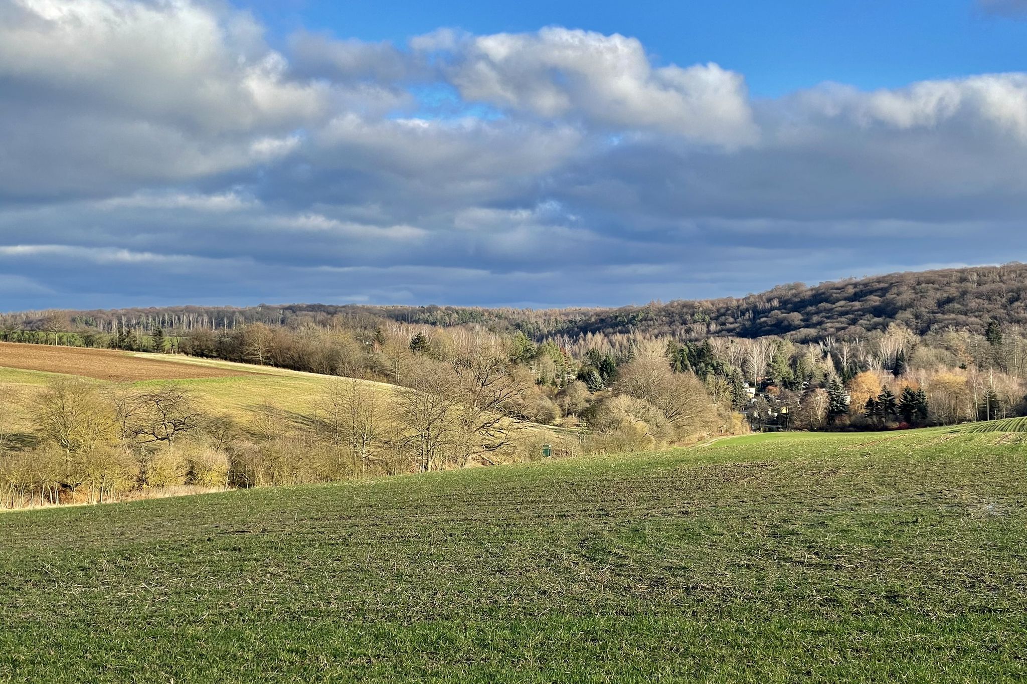 Heidegrund