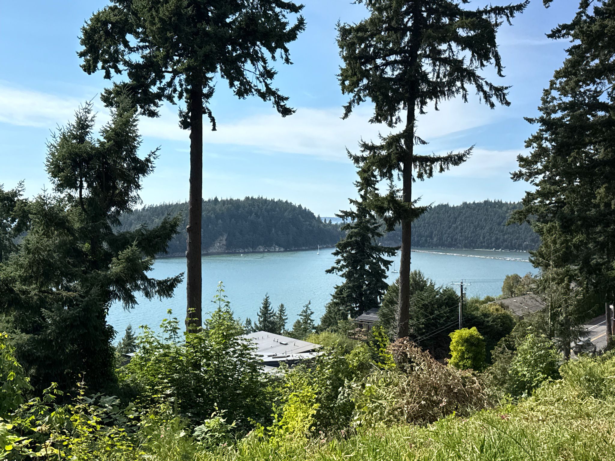 A scenic view of a wide blue bay framed by tall evergreen trees. - Lost Lake and Interurban Trail Loop