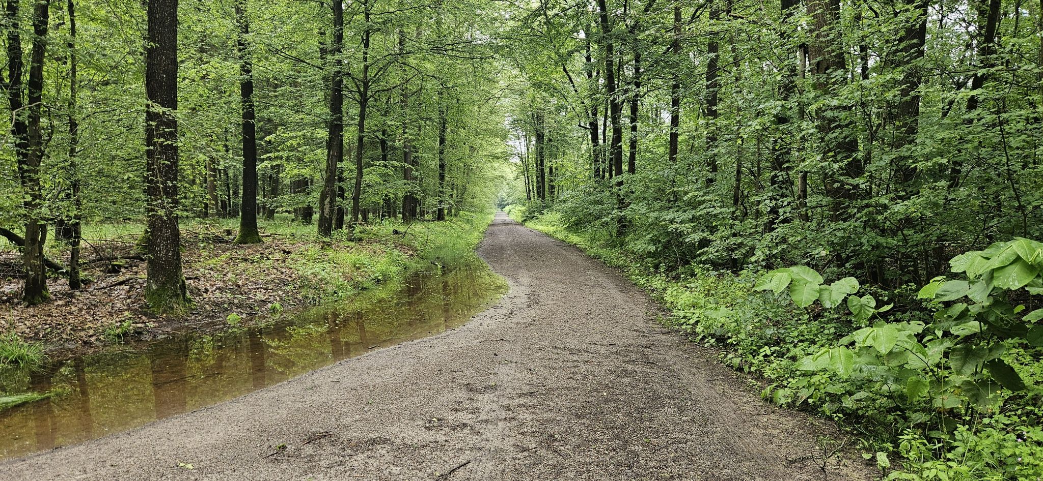 Der Weg wird schmaler