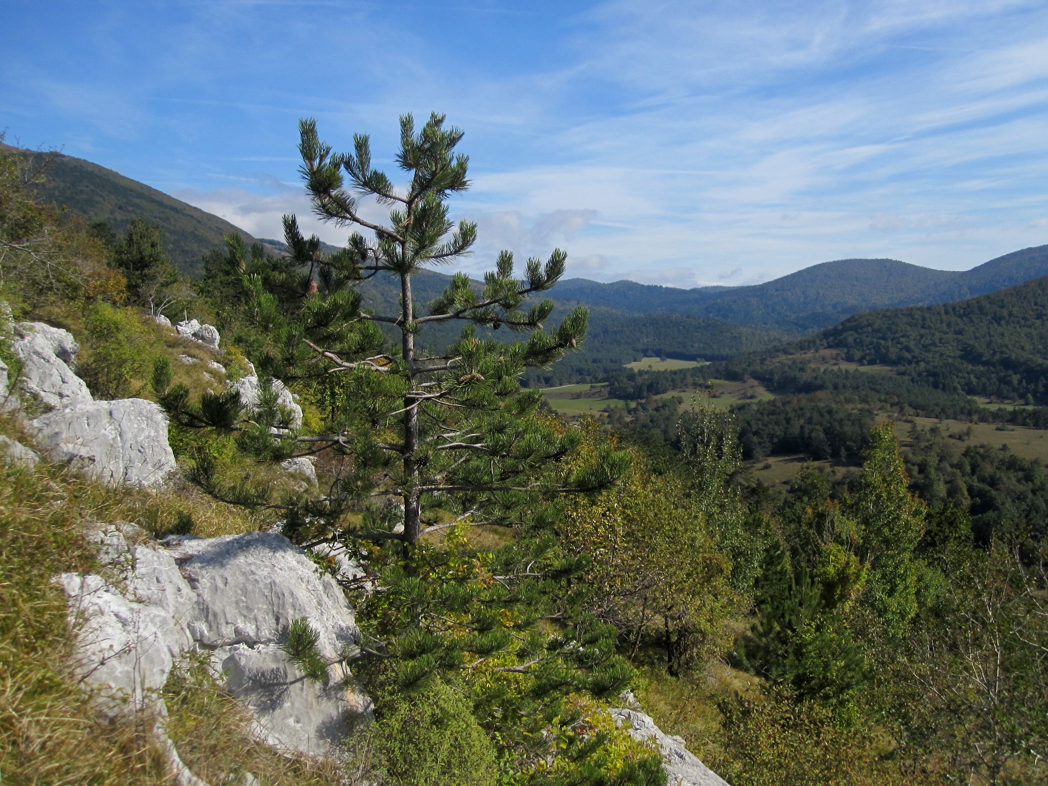 View