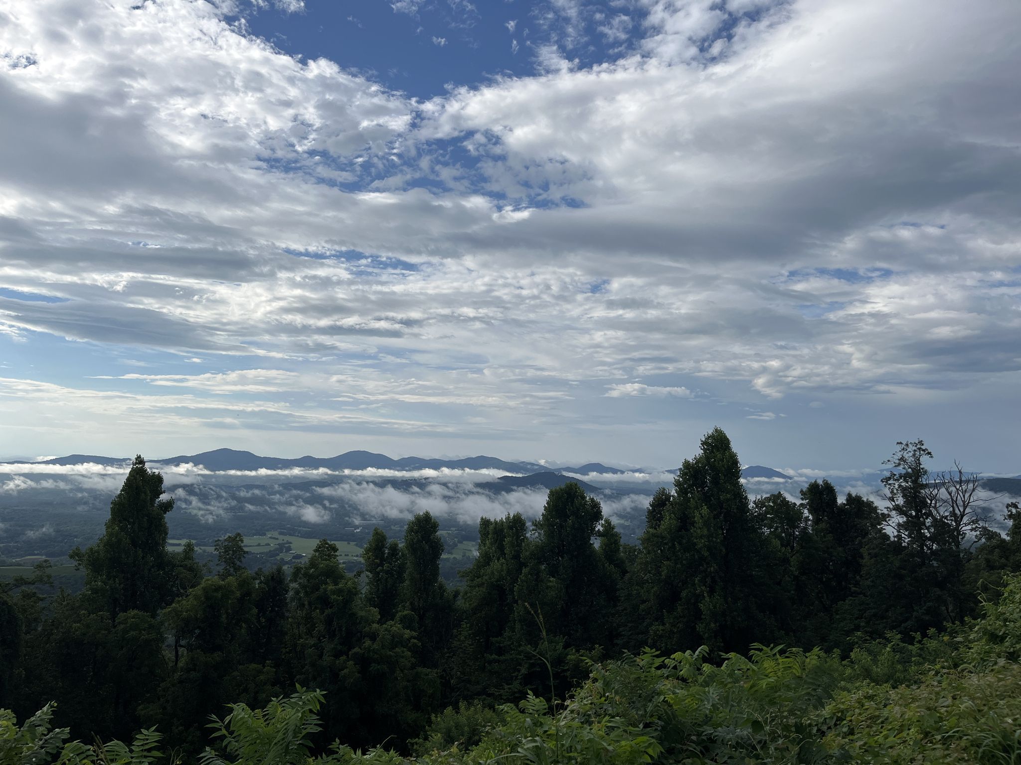 Cloudy mountain landscape with fog filling valleys and green trees in foreground. - Afton Overlook – Sawmill Run Overlook loop from Rockfish Gap