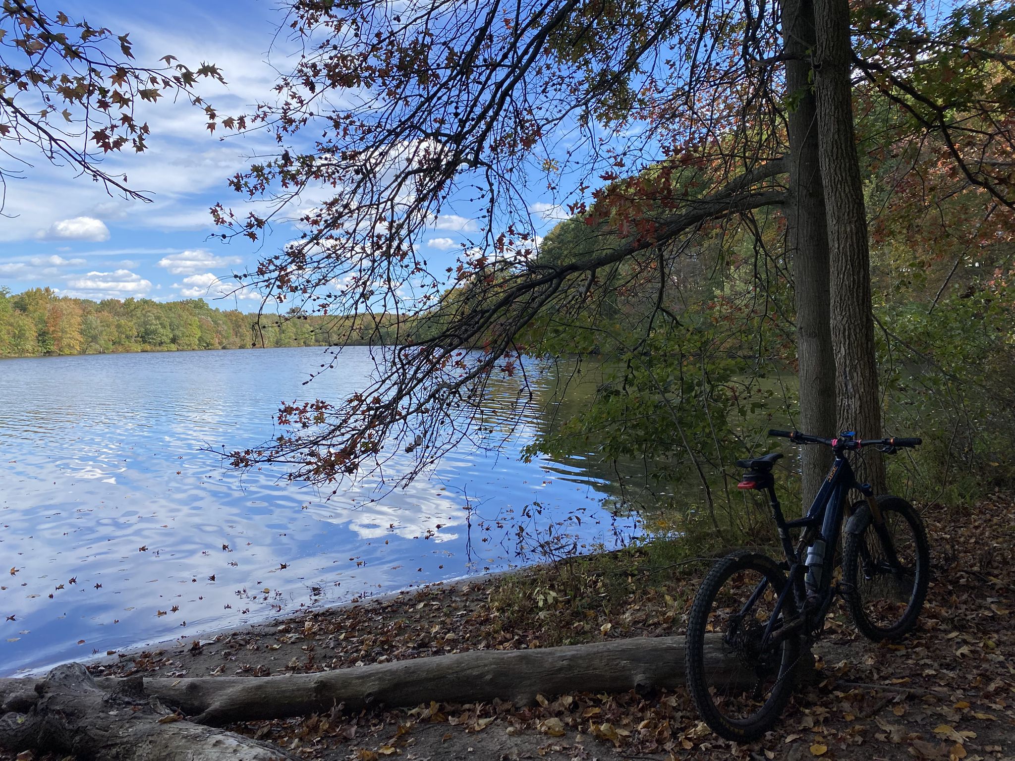 A bicycle parked by a serene lake with autumn trees under a blue sky. - Mercer County Park (East and West) Trails