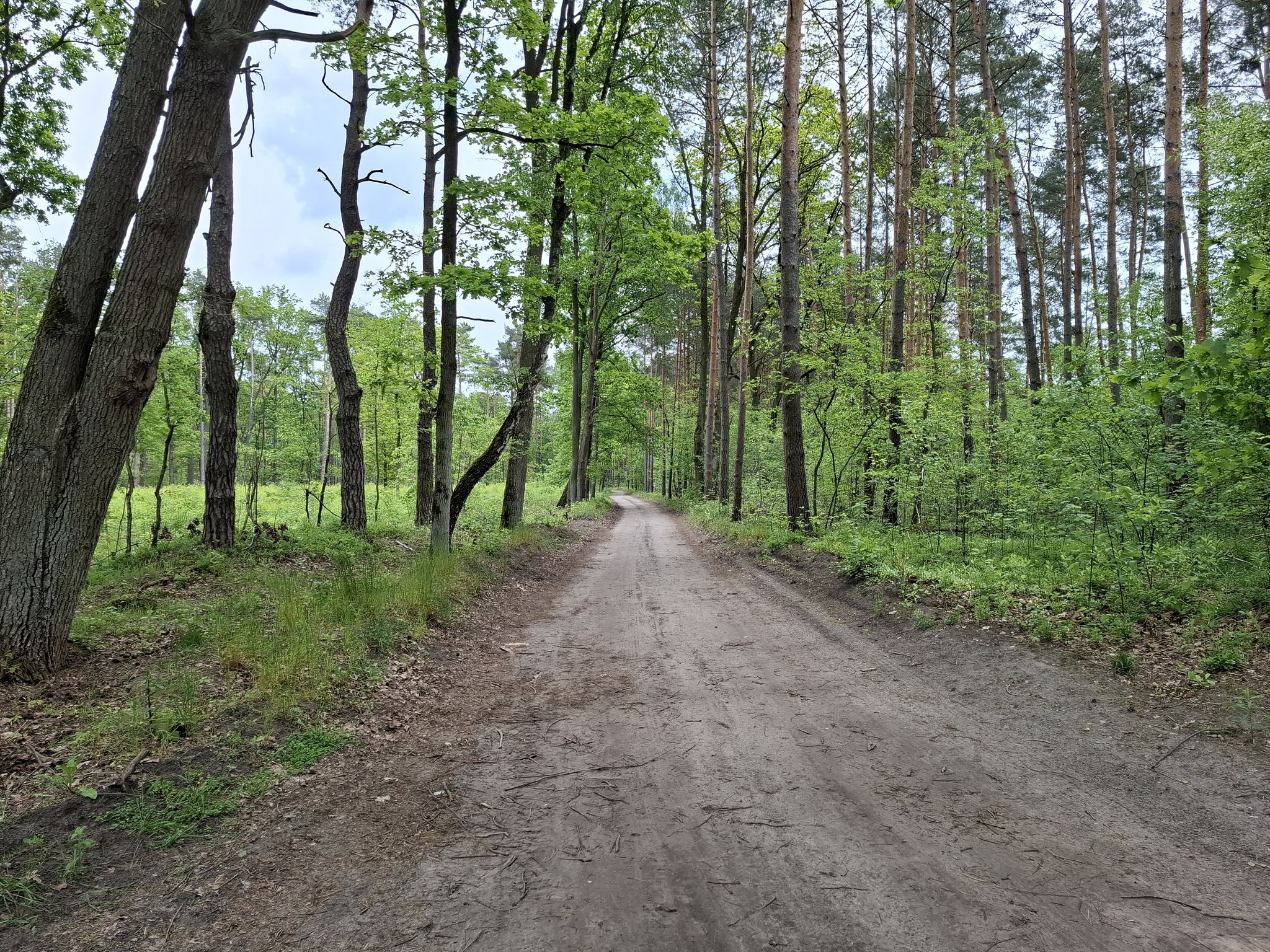 Przyjemna trasa, w miarę twardo, w miarę szybko...