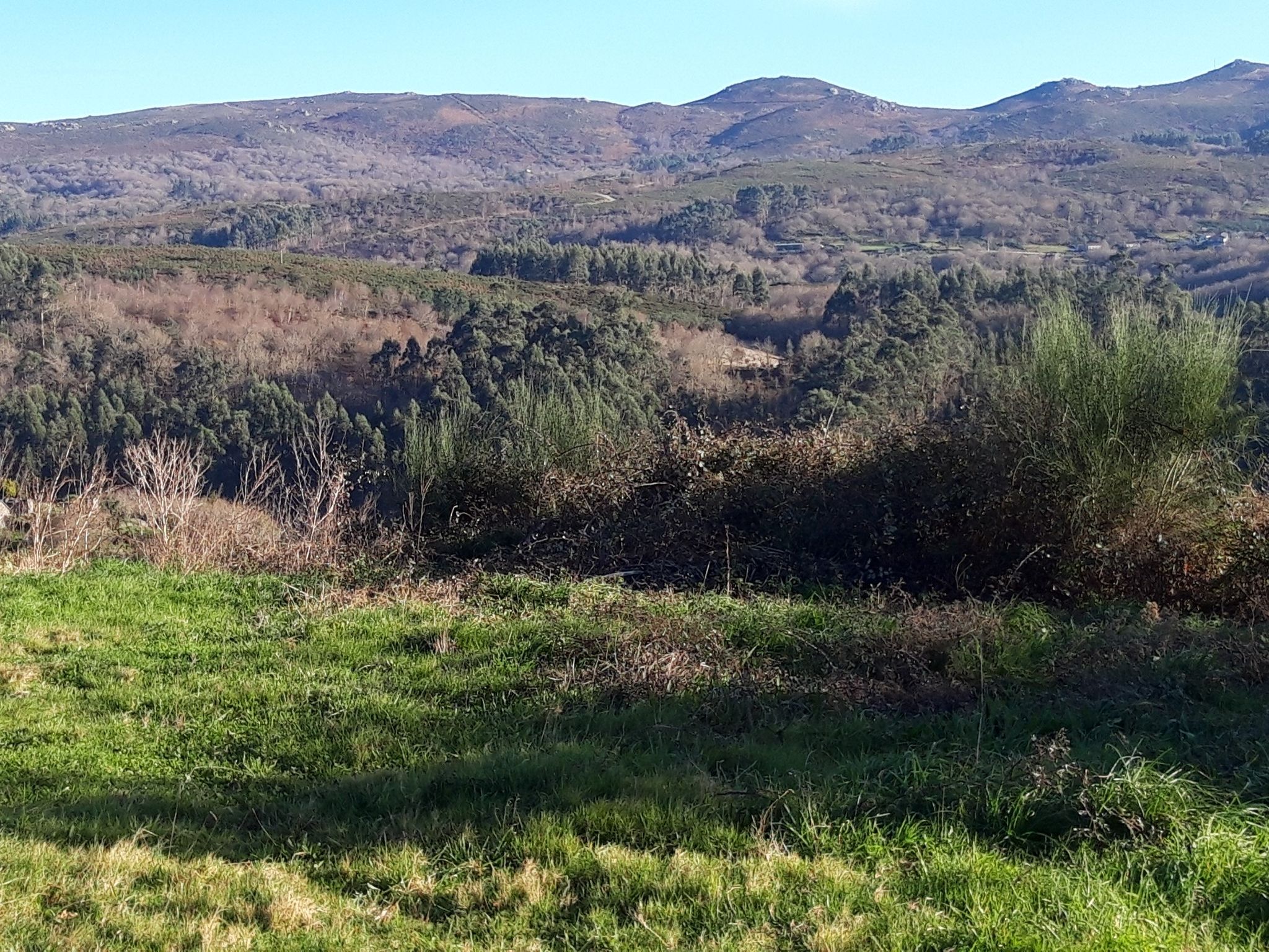 Montes do Suido, na zona do Coto Nadigon e demais