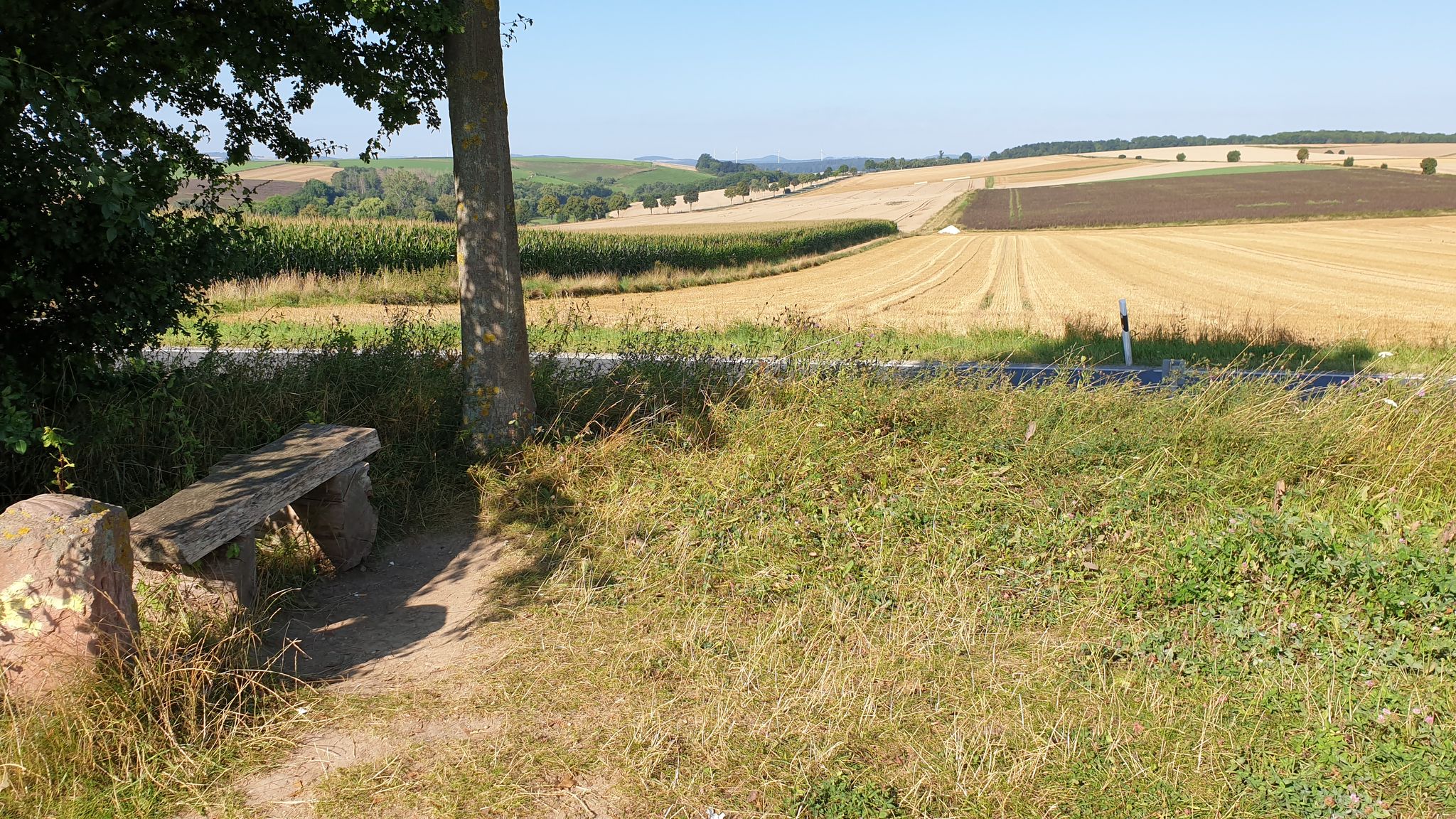 Blick von der Bank am Jakobsweg bei Reinhausen