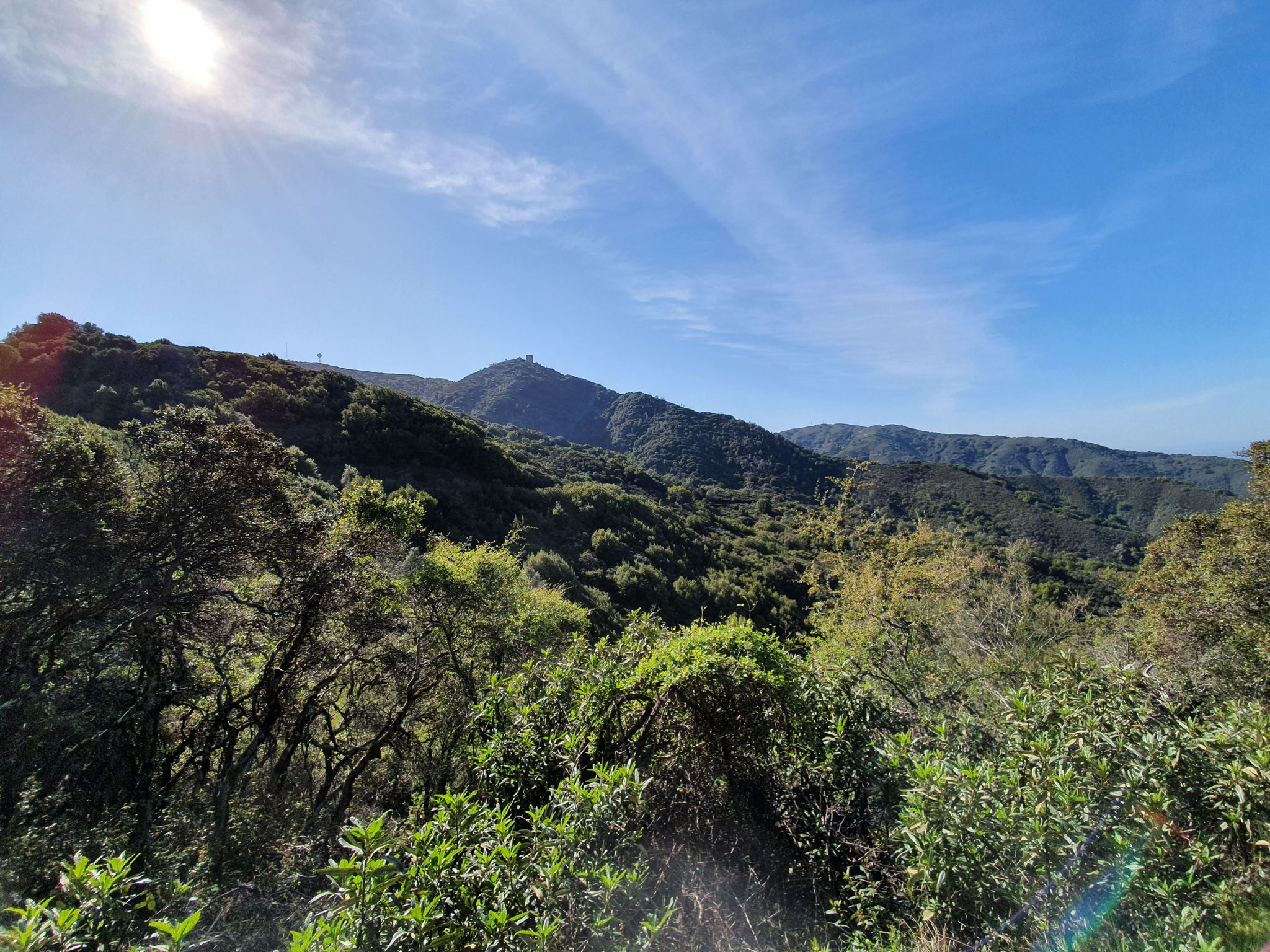 A sunny mountain landscape with dense green trees under a blue sky. - Mount Umunhum Trail