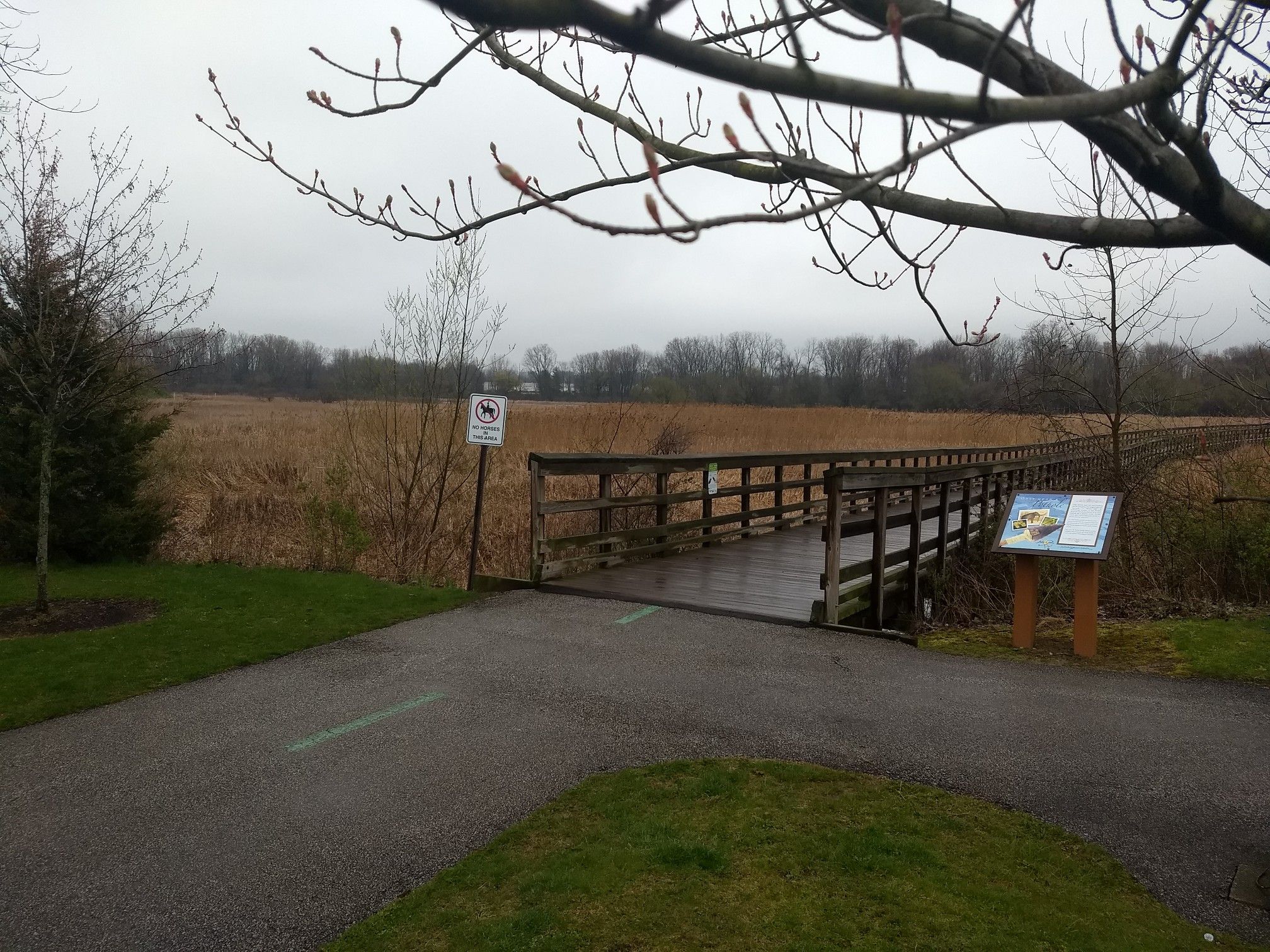 A paved path leads to a wooden bridge over dry marshland. - Lake to Lake Trail – Lake to Lake Trail loop from Baldwin-Wallace University