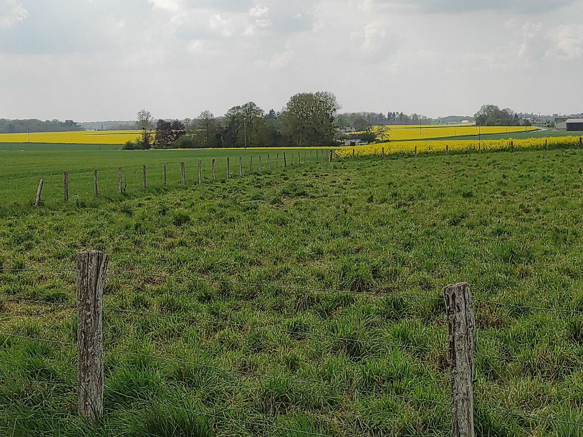 Vue sur les prés