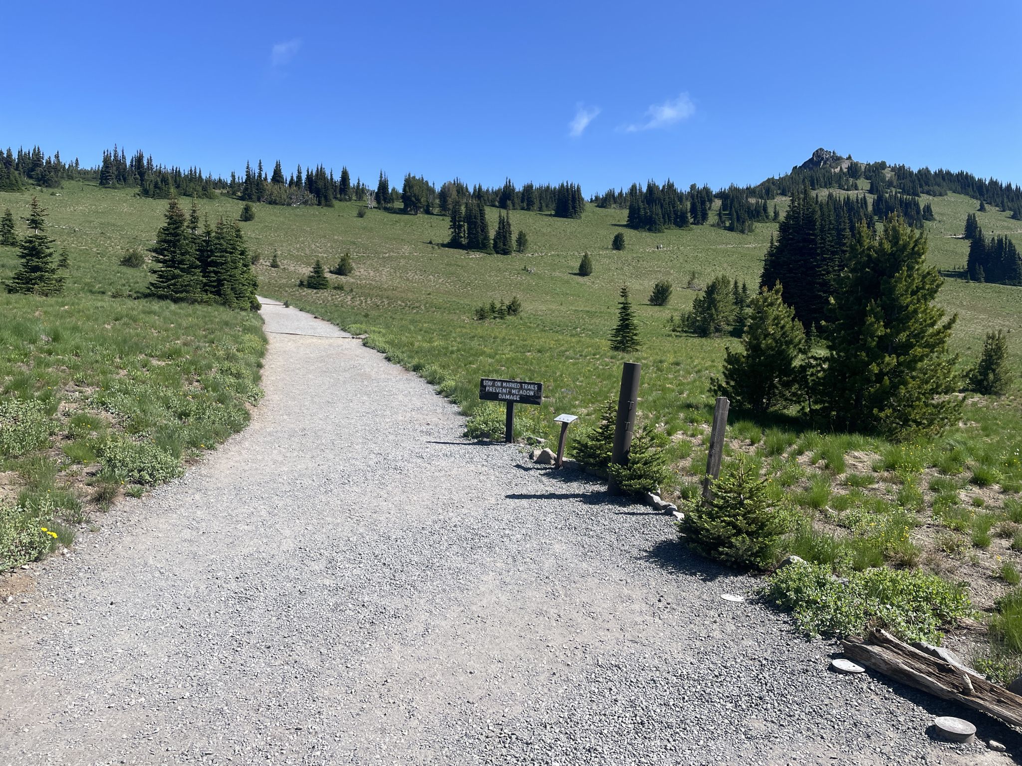 Gravel path winding through a grassy meadow with scattered evergreen trees. - Sunrise to Mystic Lake