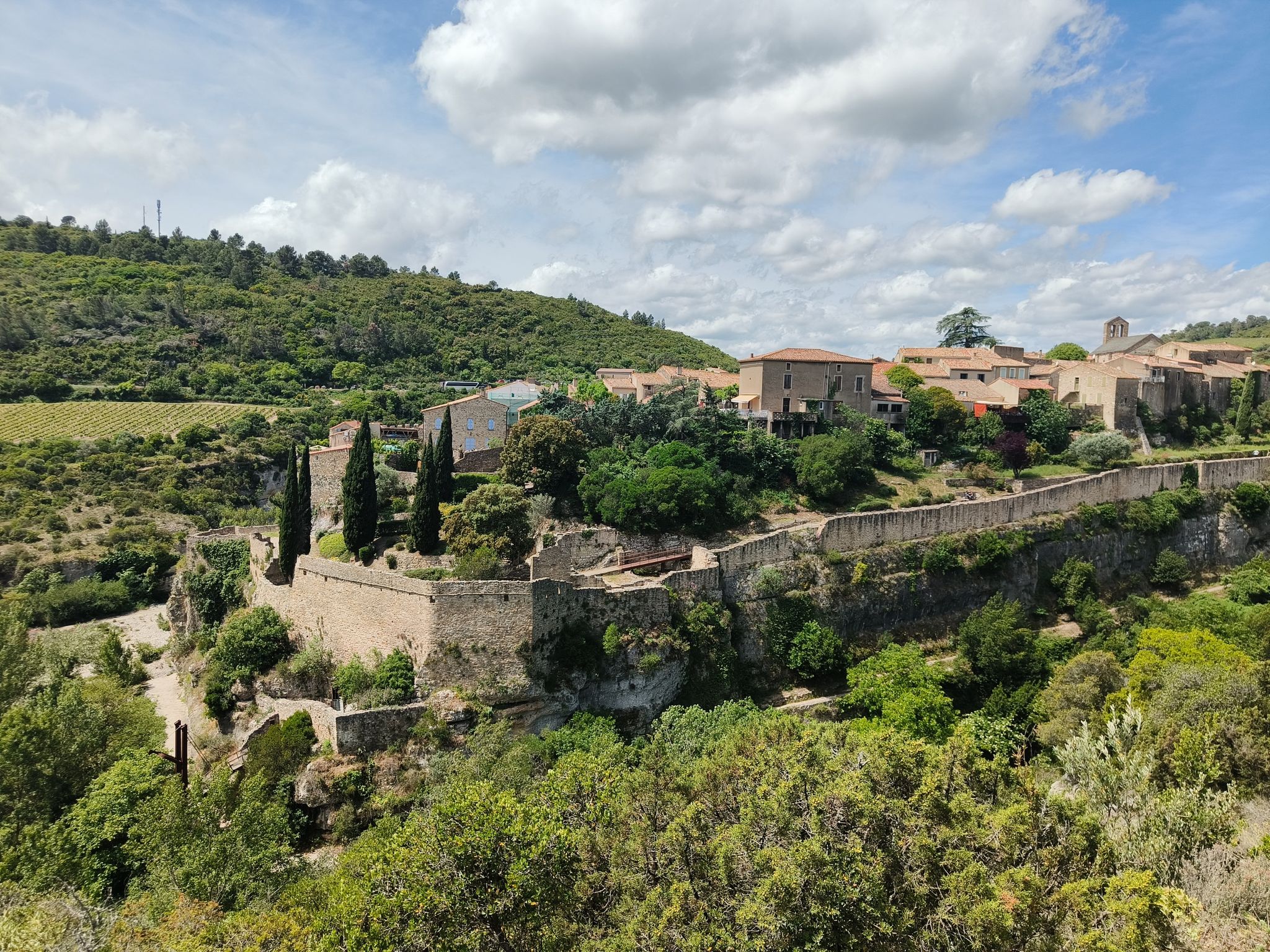 Minerve