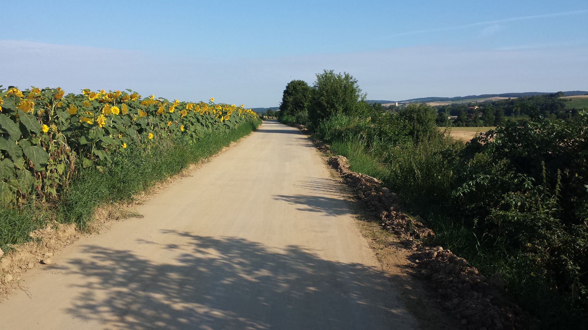 Zwischen Asparn und Mistelbach