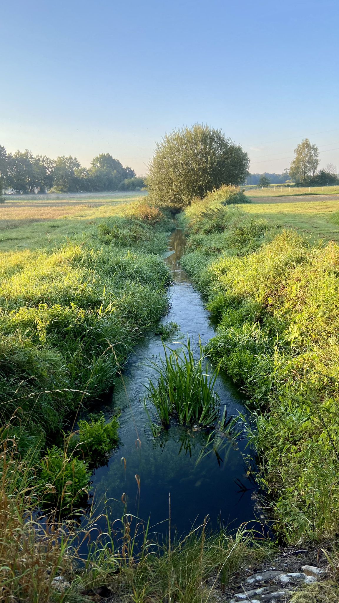 Und zum zweiten Mal der Emmer Bach