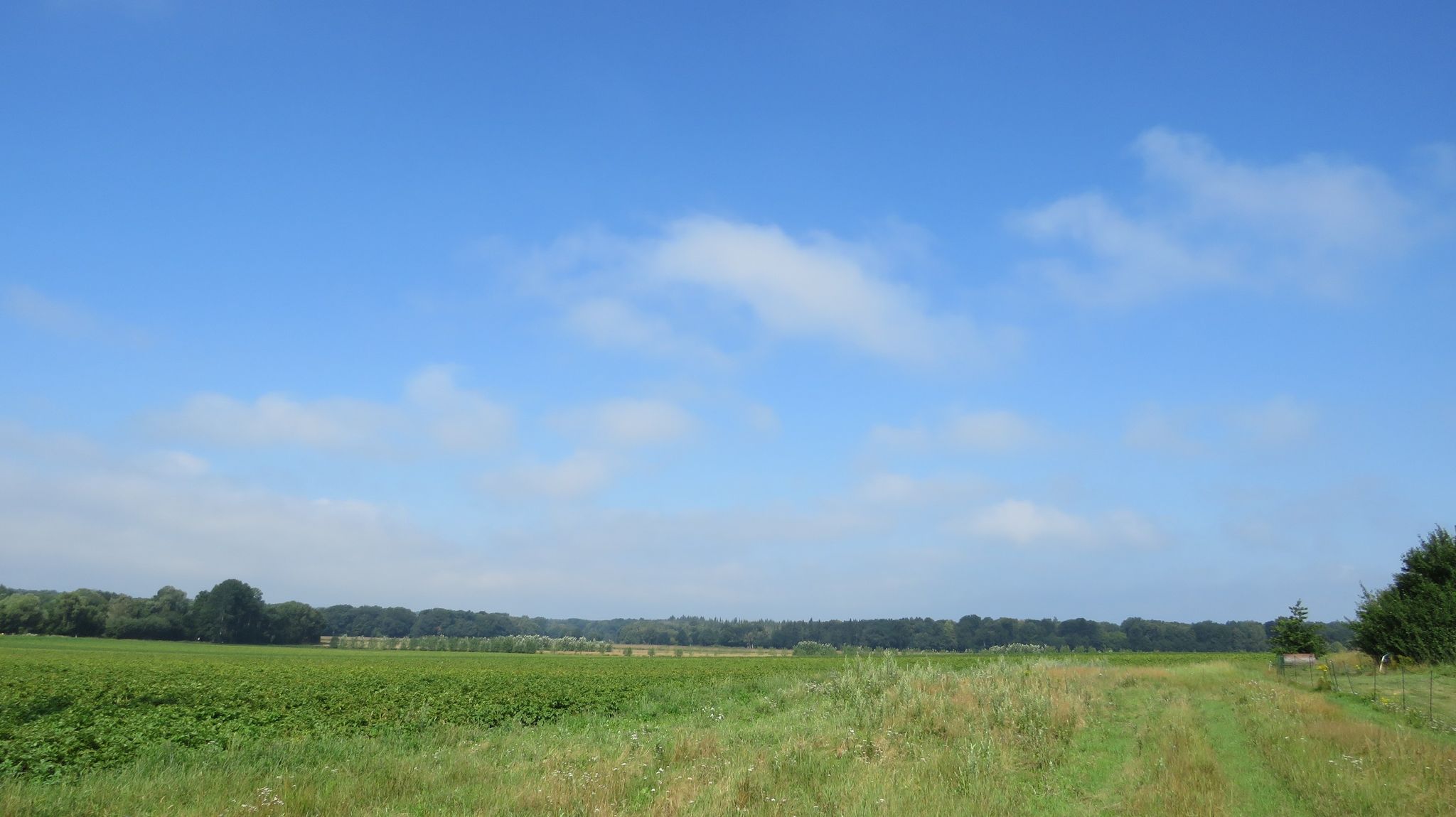 Sieht aus, als wenn es ein schöner sonniger Tag wird