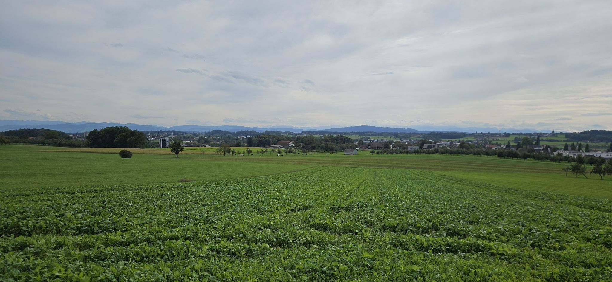 eingeschränkte Bergsicht