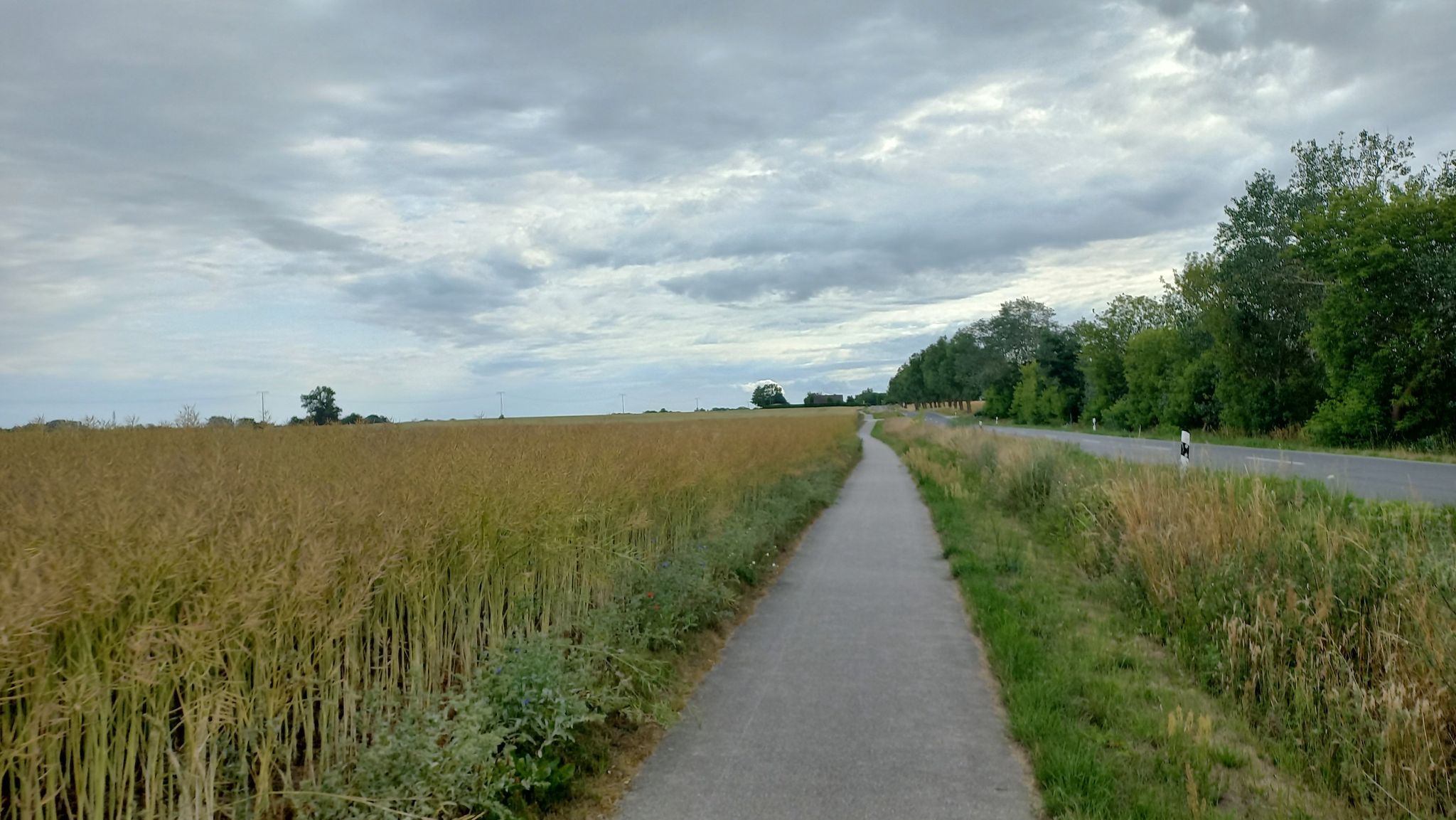 Radweg Richtung Saal / nur dunkle Wolken