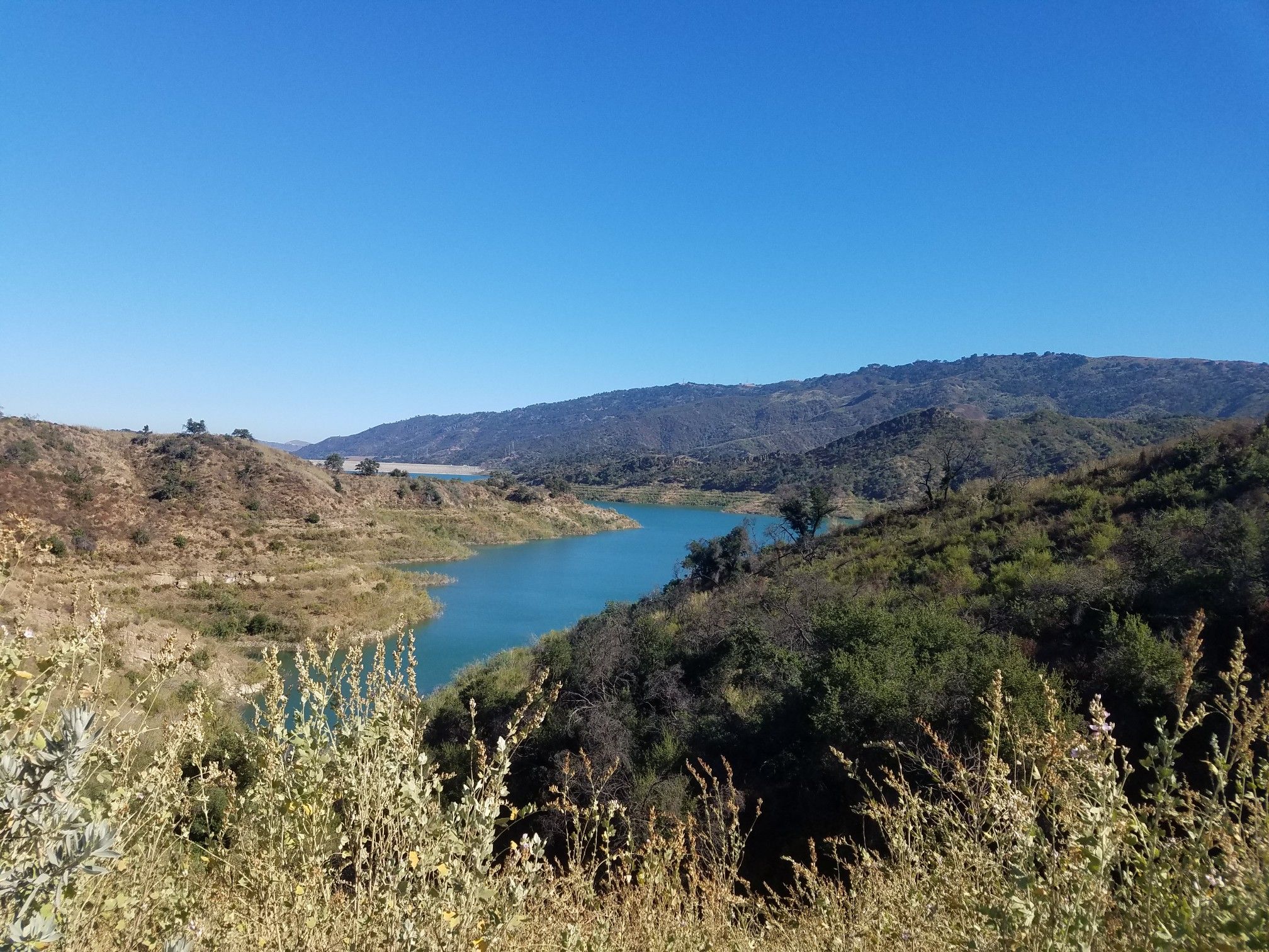 Blue lake winding through green, rolling hills under a clear sky. - Rincon Bluffs Preserve – Ventura Beach and Pier loop from East Ventura