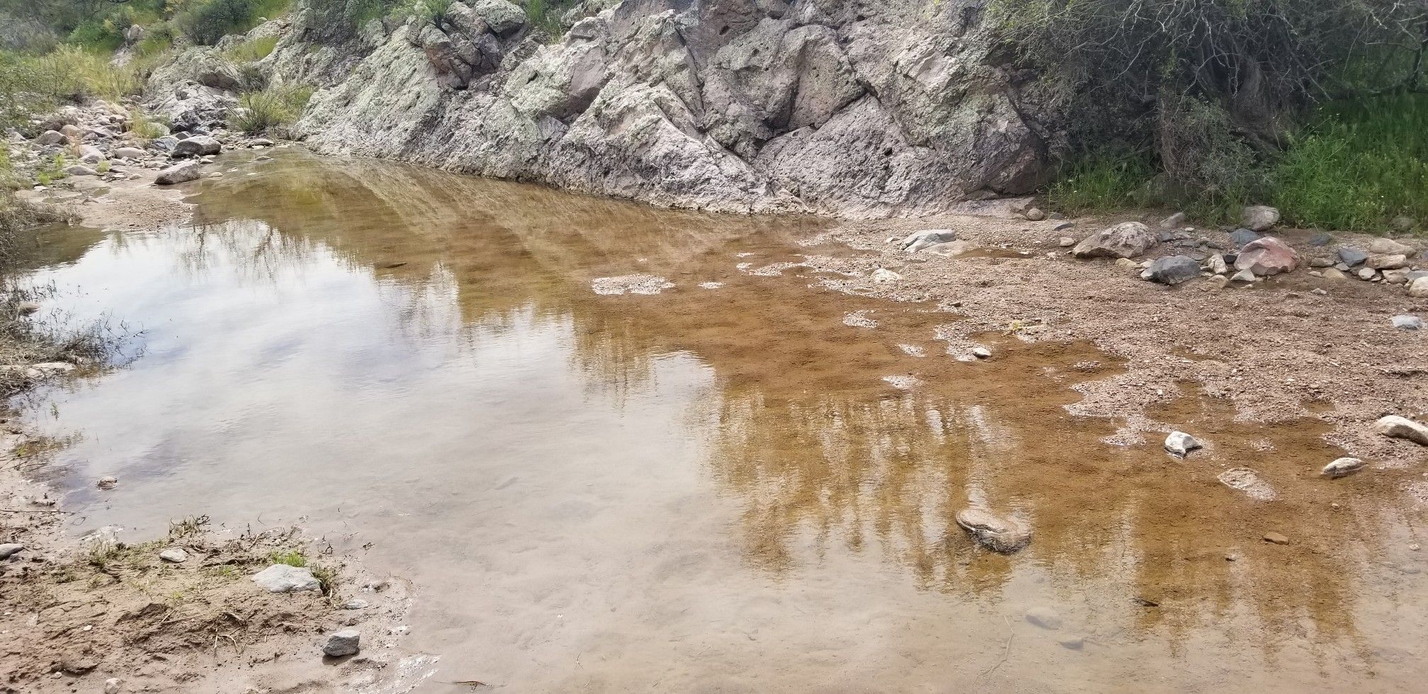 A muddy puddle reflects the sky, surrounded by rocks and sparse vegetation. - First Water Trail Dummy HL loop from First Water Trailhead