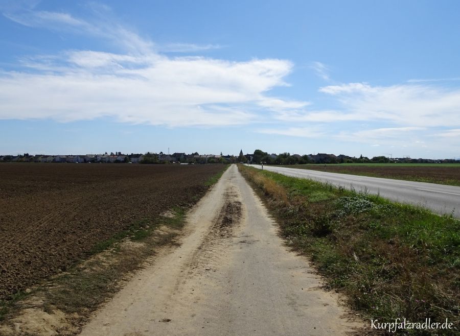 Wirtschaftsweg an der K11 nach Mutterstadt
