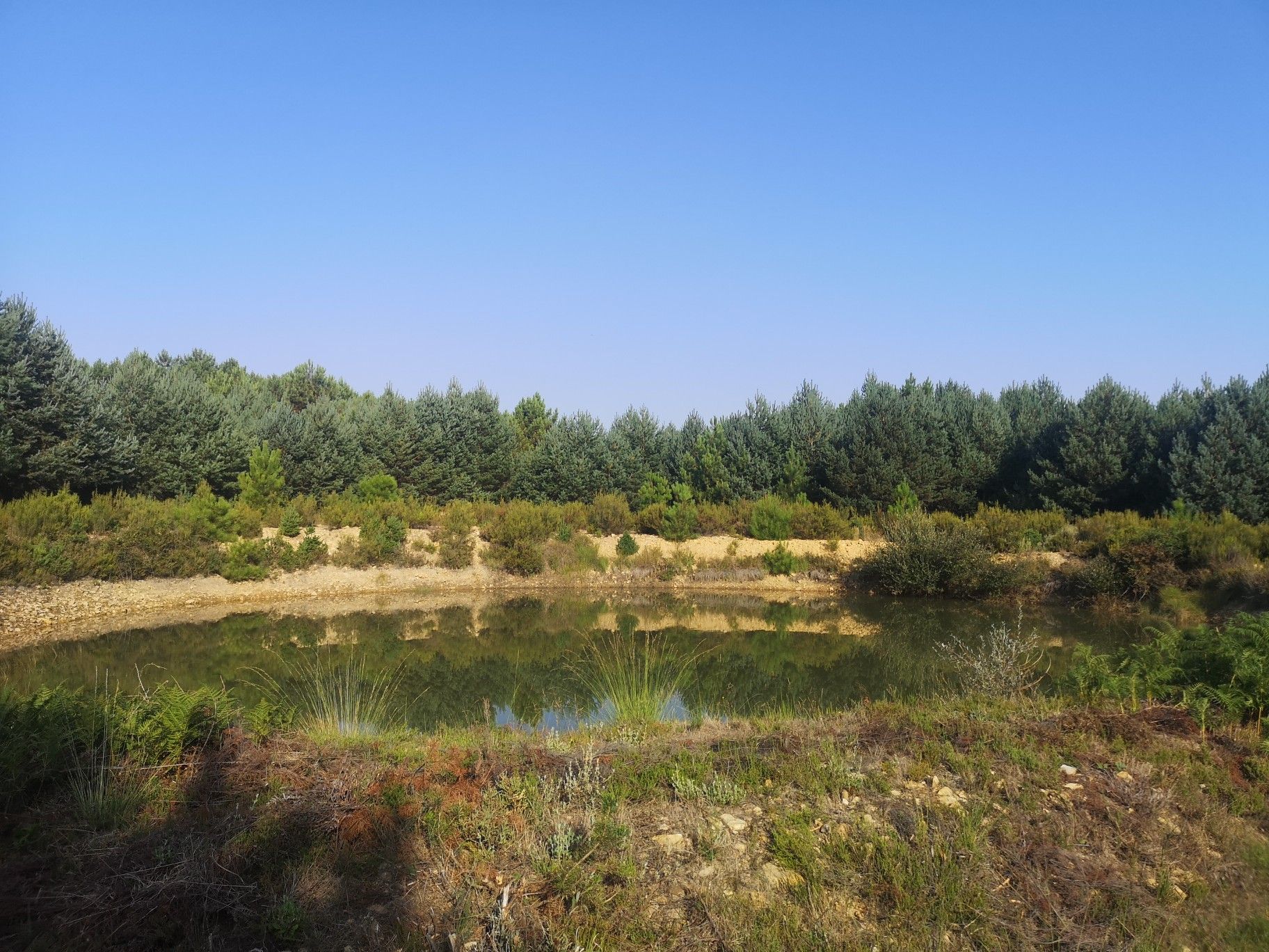 laguna