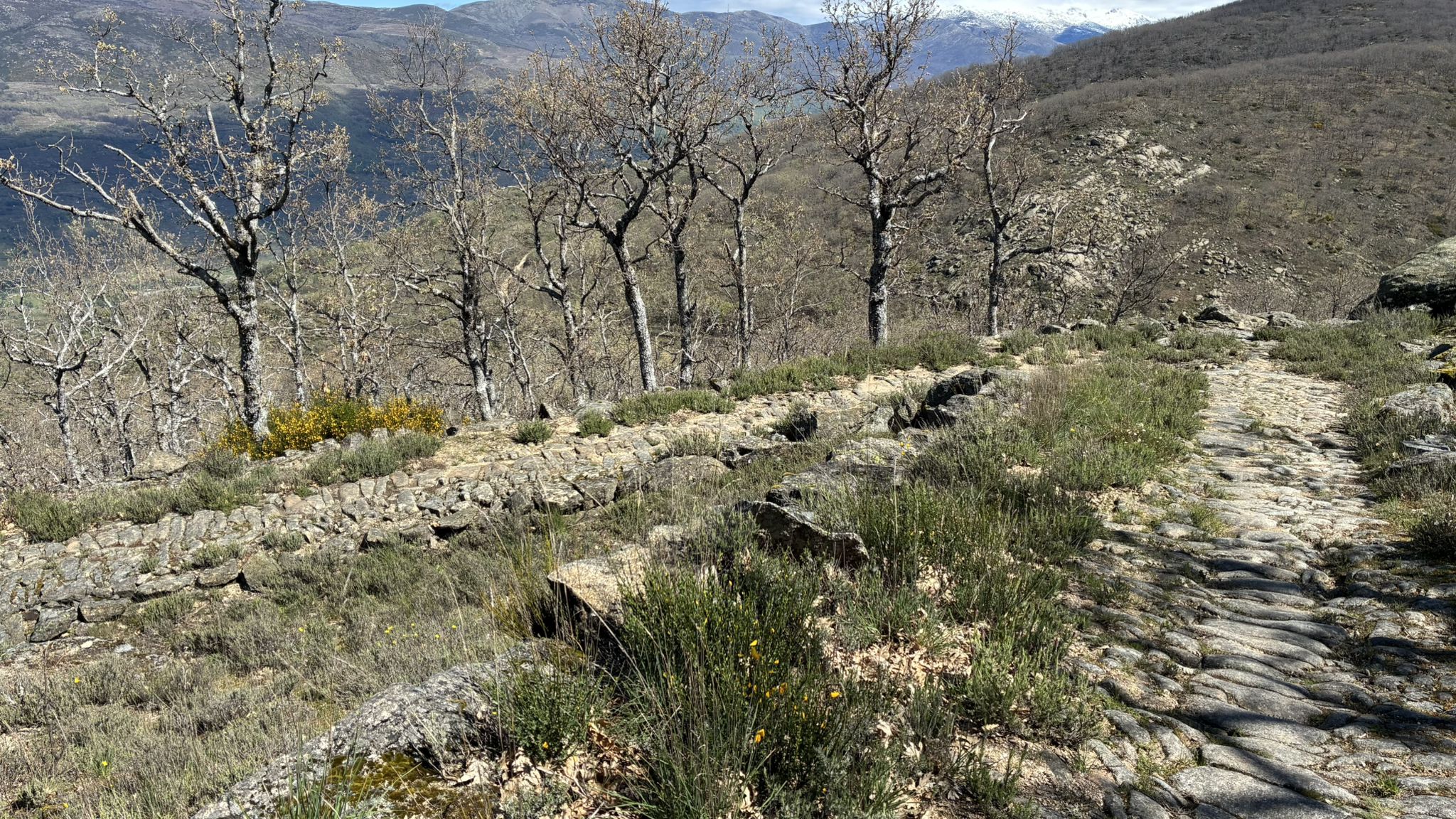 Tramo empedrado, varios km