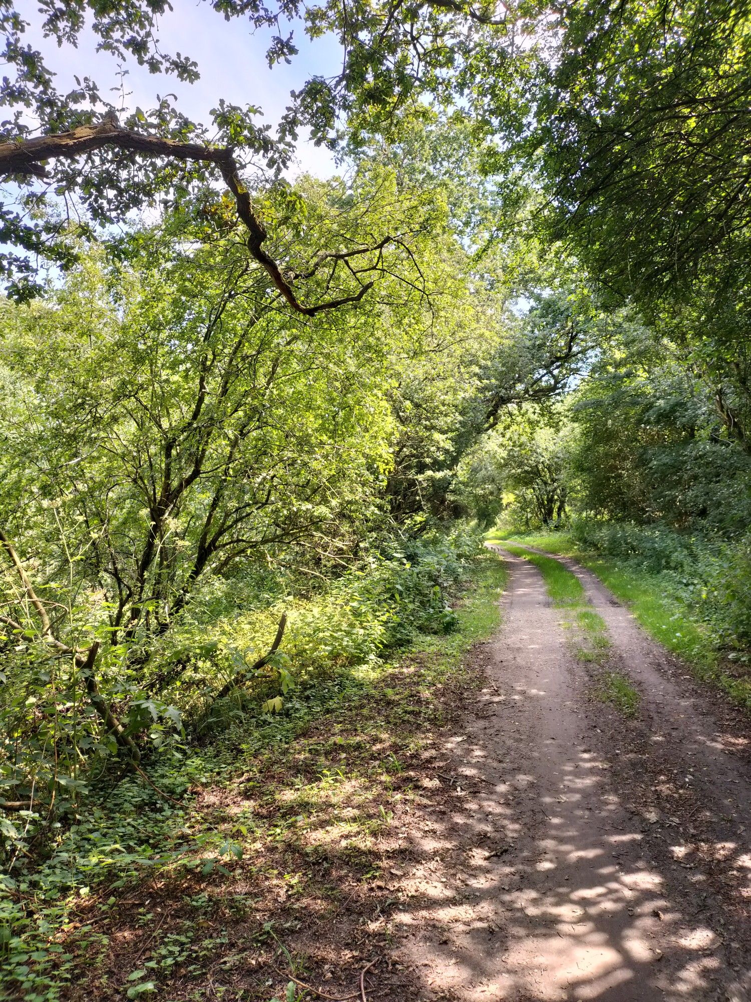 An der Bahn entlang