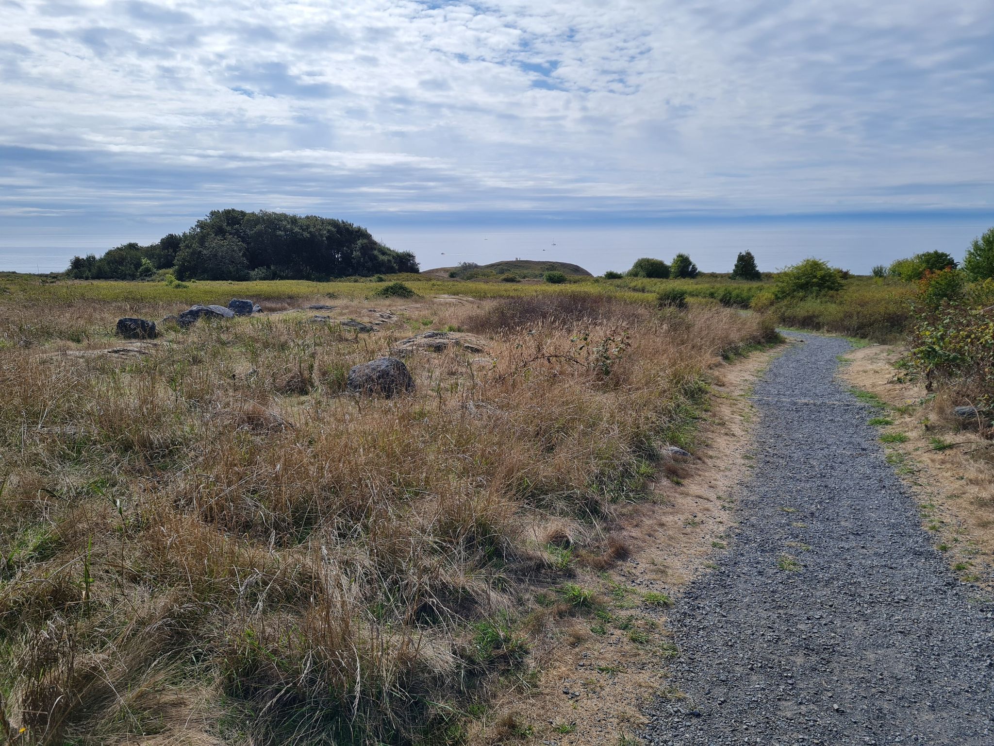 Gravel path through a dry grassy field under a partly cloudy sky. - South Beach and Bluff Trail Loop