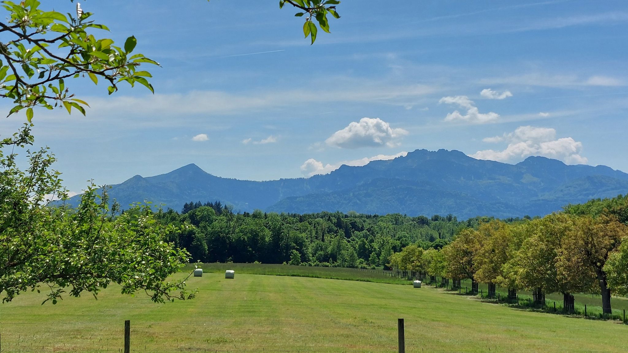 Chiemgauer Alpen