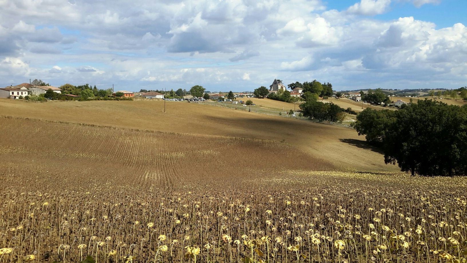 st Vincent lespinasse