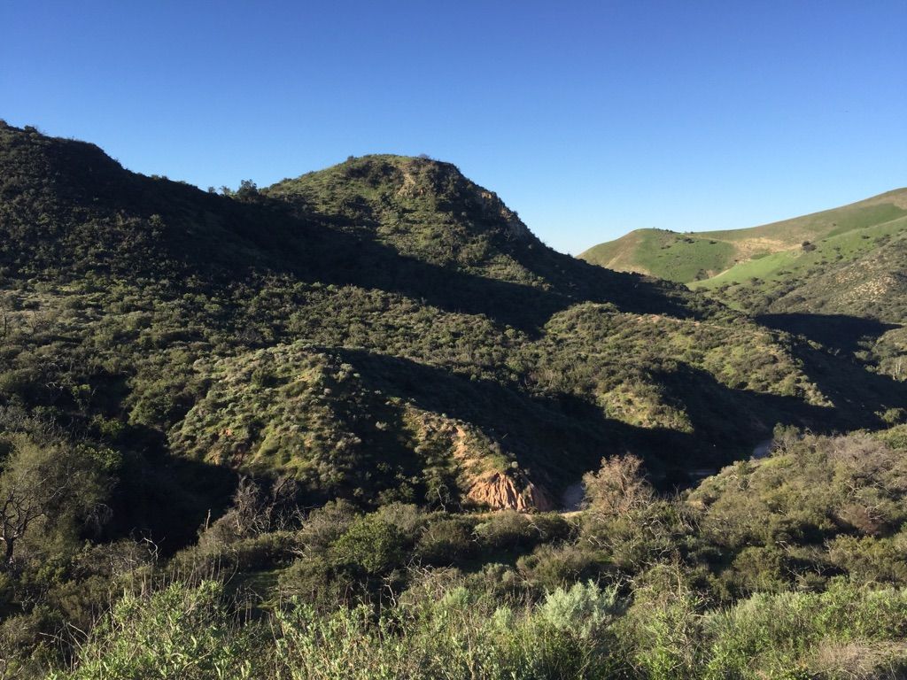 Wide view of green, brush-covered hills and valleys under a clear blue sky. - Whiting Ranch Trailhead – Reynolds Bench loop from Foothill Ranch