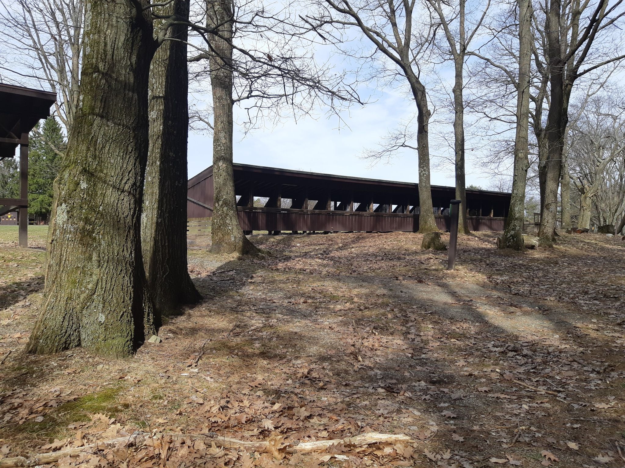 A long, covered wooden structure seen through bare trees in a park-like setting. - Finger Lakes / North Country Trail