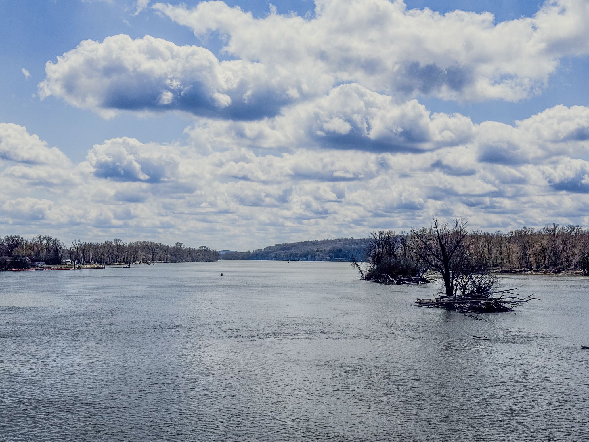 Wide river with small islands of bare trees under a cloudy sky. - Fahey Trailhead – View of the Mississippi River loop from Spring Lake Islands Wildlife Management Area