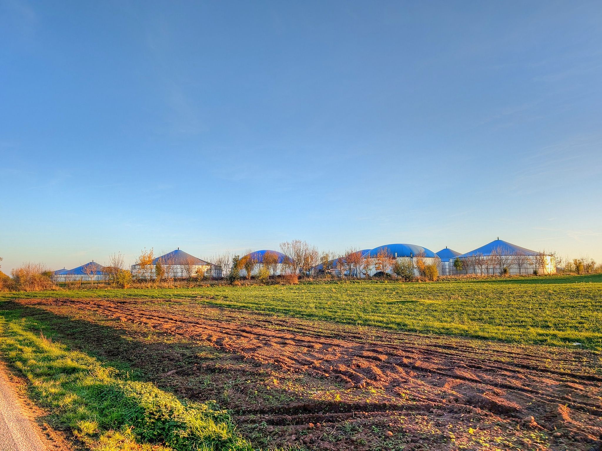 hier riecht es nach Verwesung und Tod